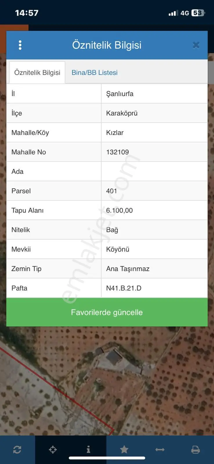 Kızlarda Satılık Fıstık Bahçesi - Görsel 2