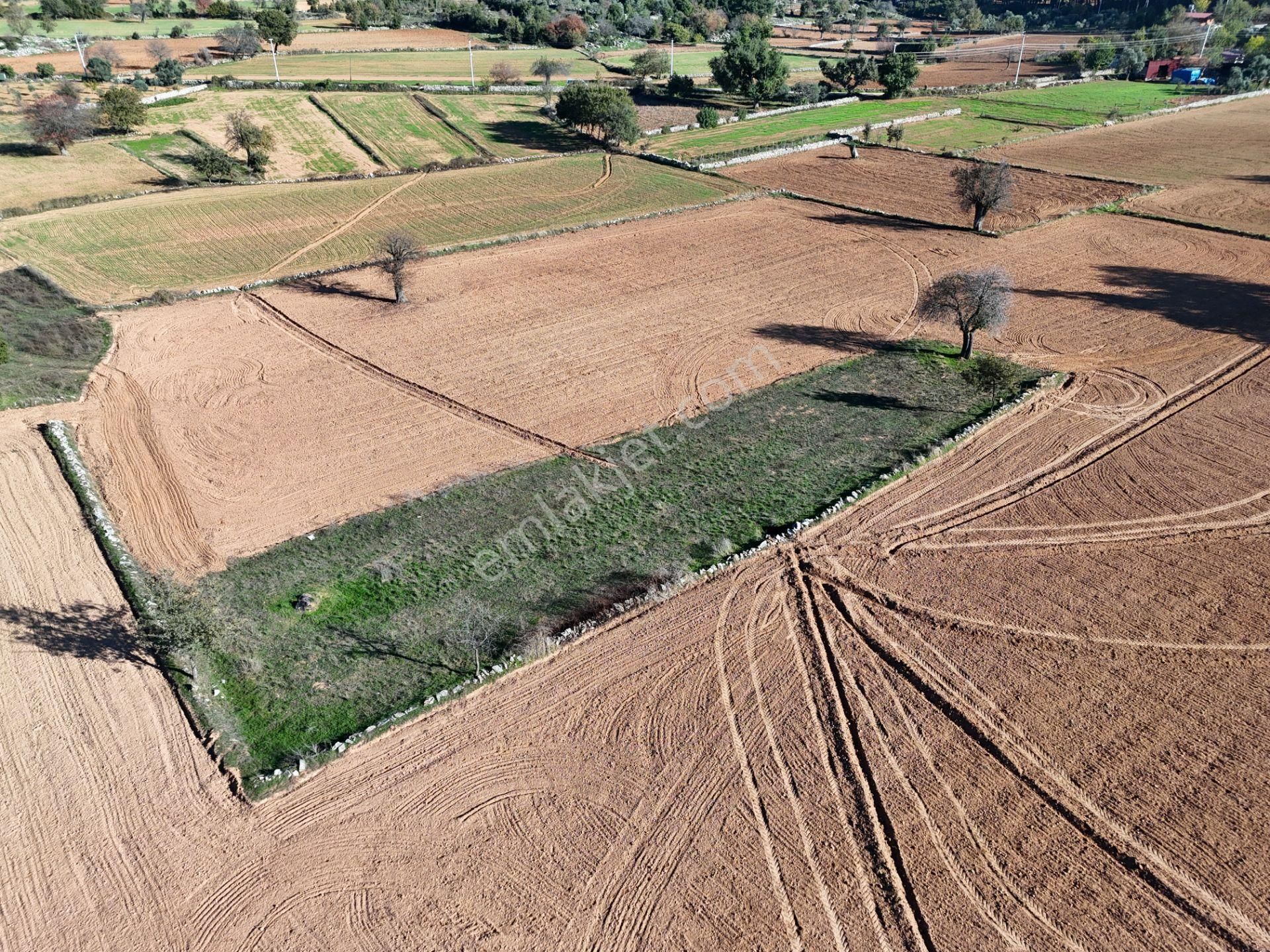 Yayla Mahallesi Fesleğen’de 902 M² Tarla – Gelişime Açık - Görsel 10