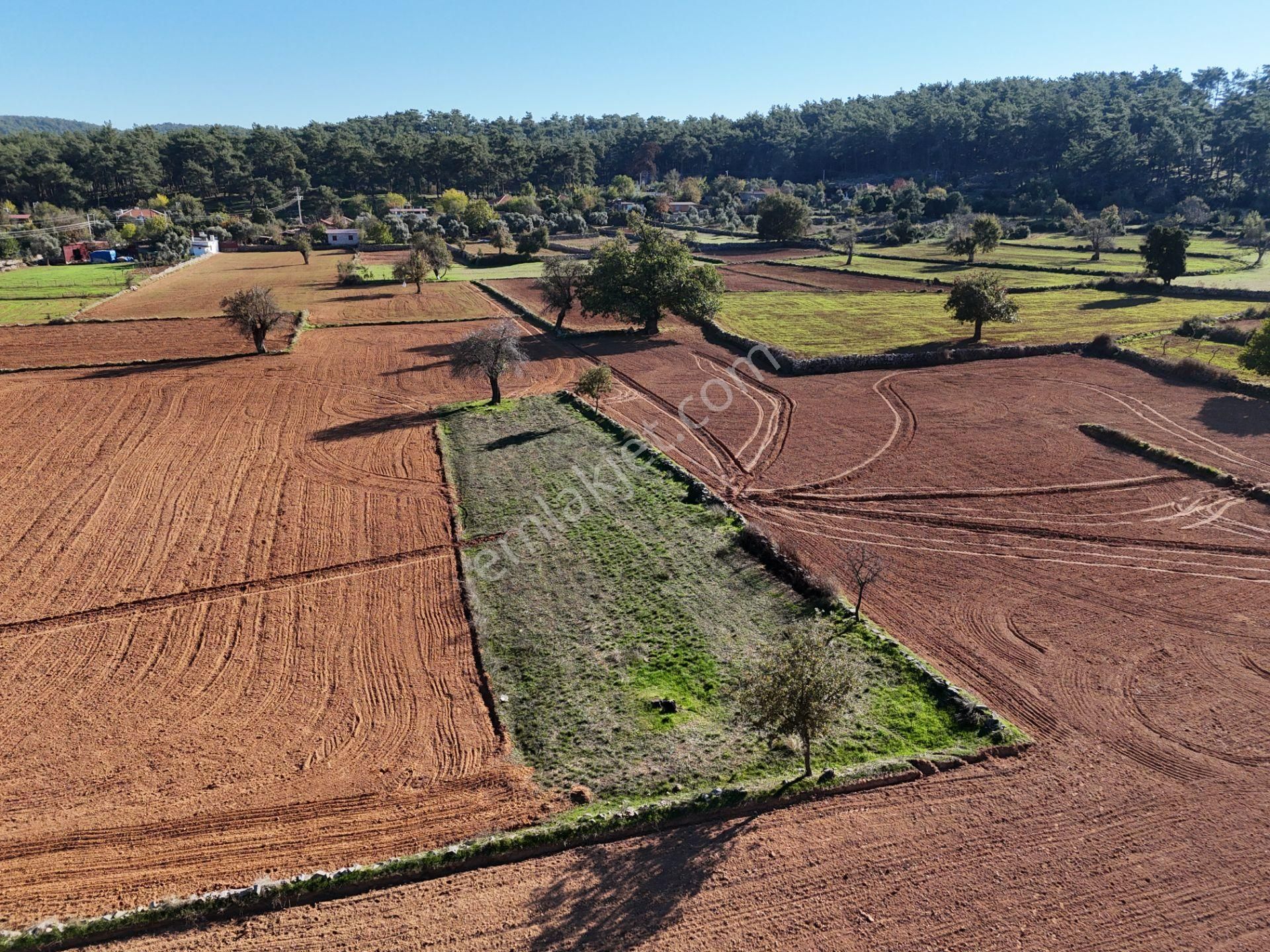 Yayla Mahallesi Fesleğen’de 902 M² Tarla – Gelişime Açık - Görsel 19