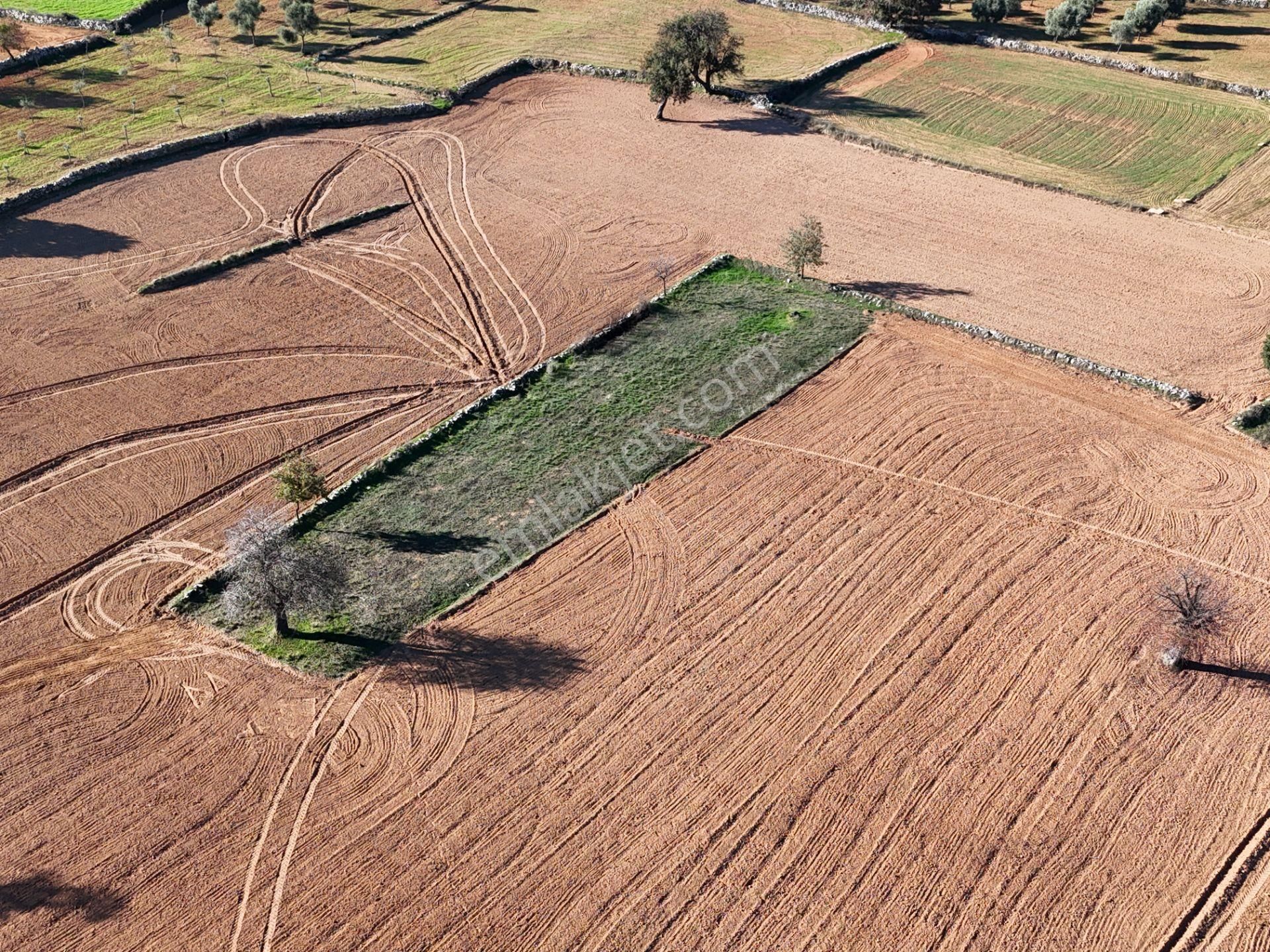 Yayla Mahallesi Fesleğen’de 902 M² Tarla – Gelişime Açık - Görsel 18