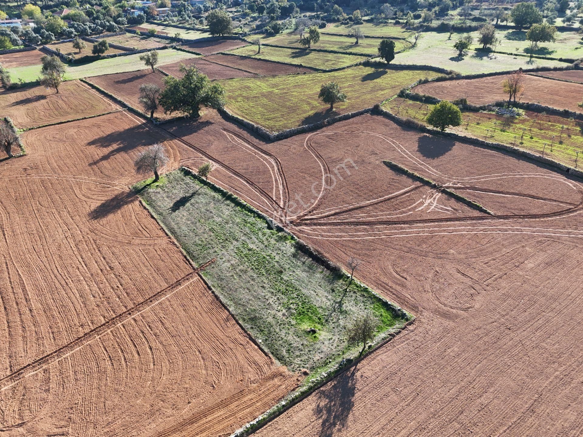 Yayla Mahallesi Fesleğen’de 902 M² Tarla – Gelişime Açık - Görsel 7