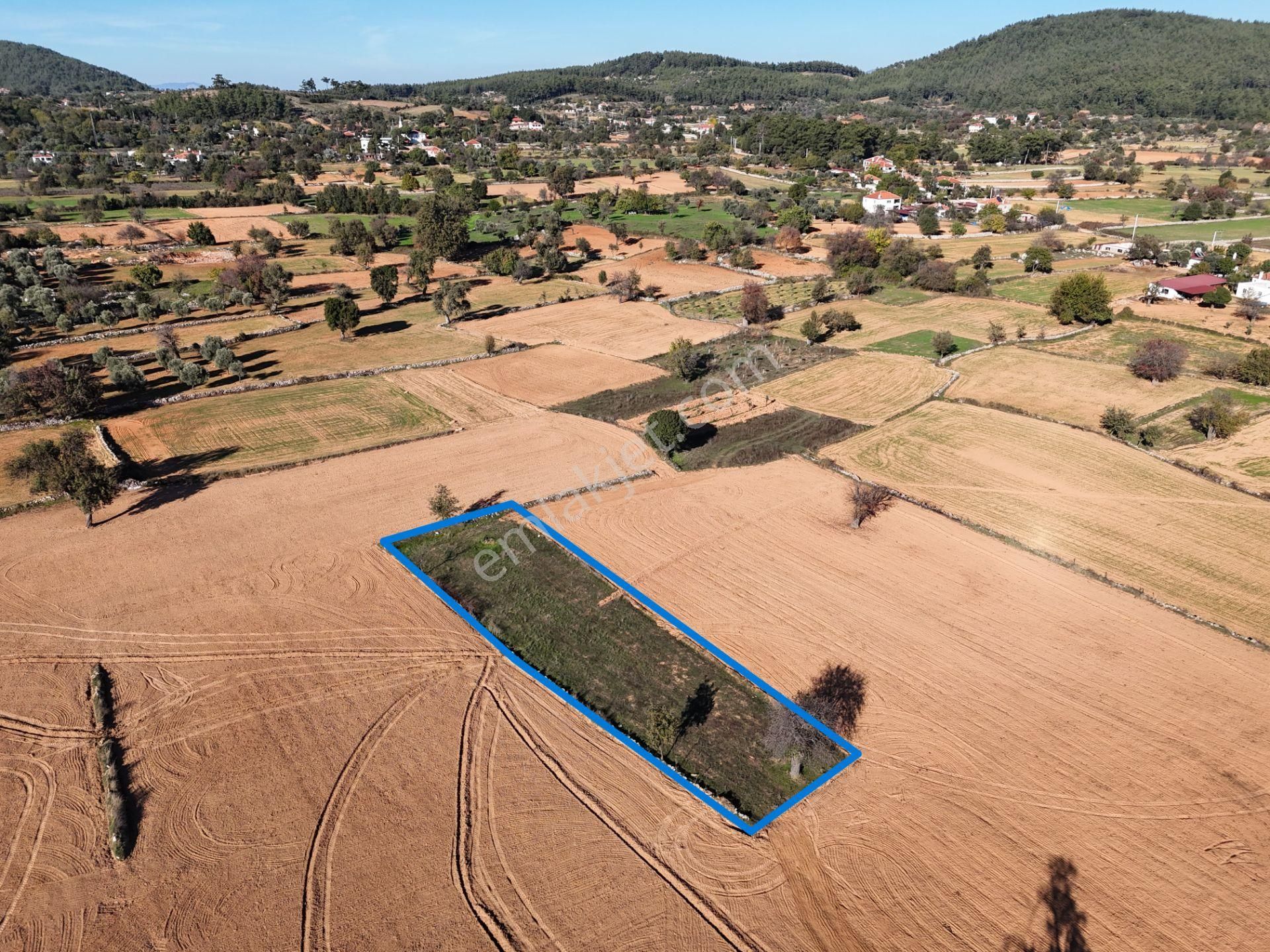 Yayla Mahallesi Fesleğen’de 902 M² Tarla – Gelişime Açık