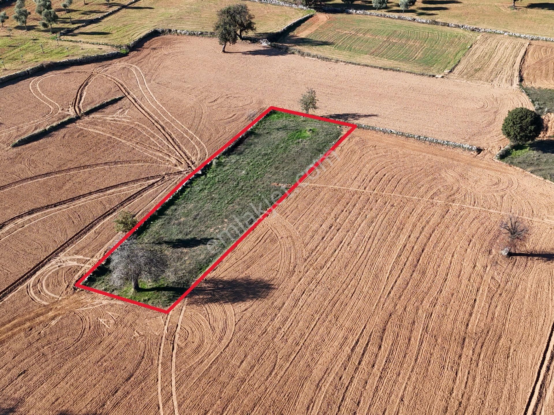 Yayla Mahallesi Fesleğen’de 902 M² Tarla – Gelişime Açık - Görsel 17