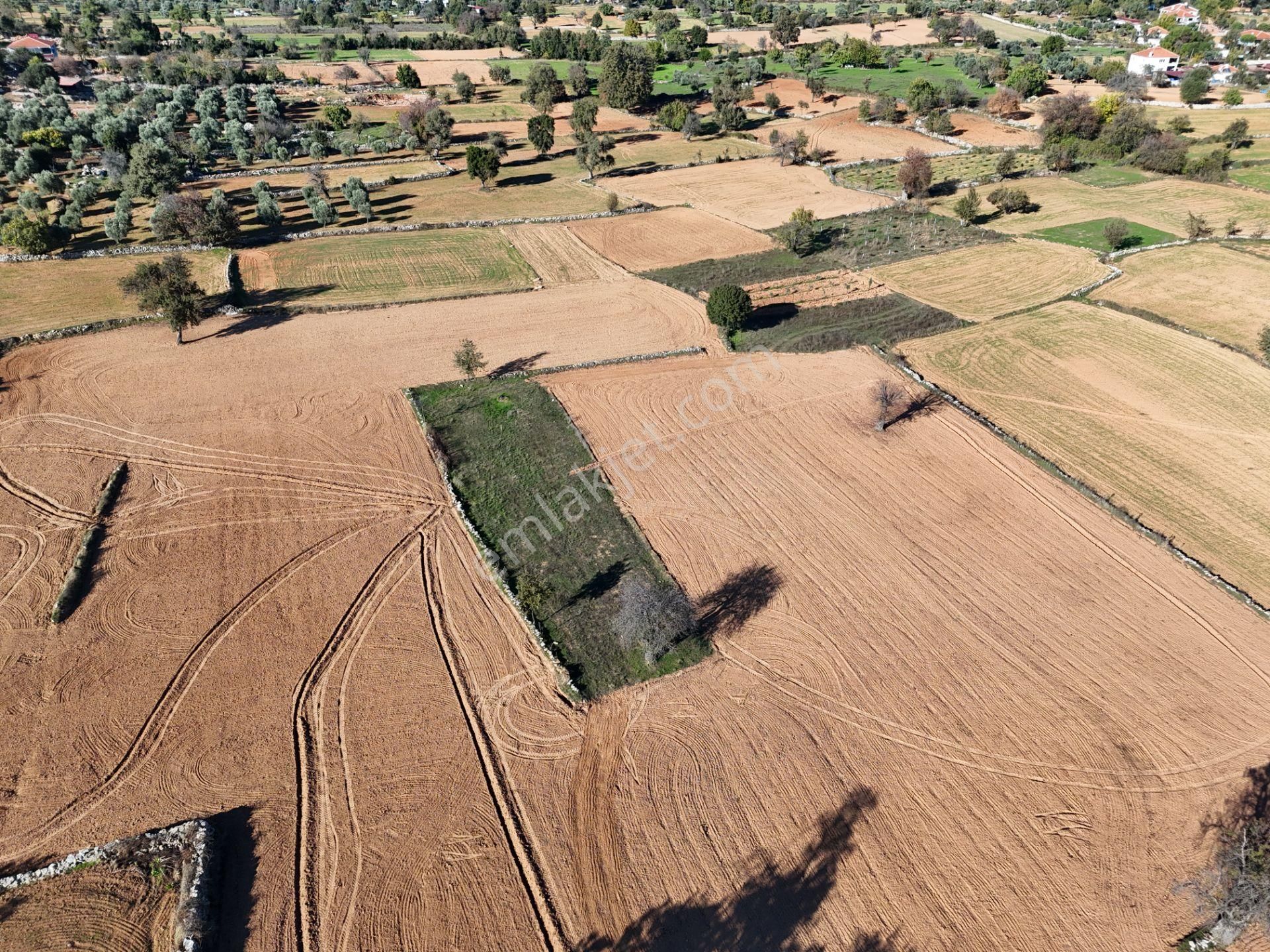 Yayla Mahallesi Fesleğen’de 902 M² Tarla – Gelişime Açık - Görsel 15