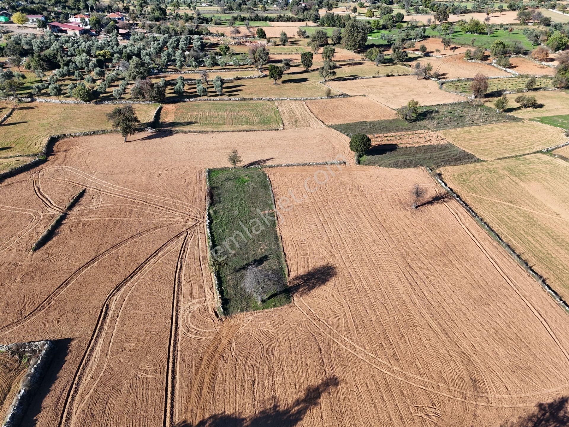 Yayla Mahallesi Fesleğen’de 902 M² Tarla – Gelişime Açık - Görsel 16
