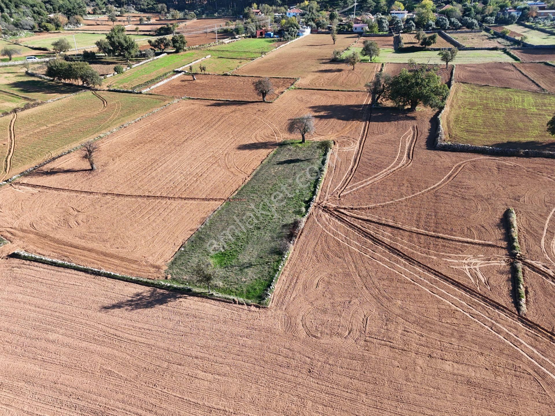 Yayla Mahallesi Fesleğen’de 902 M² Tarla – Gelişime Açık - Görsel 9