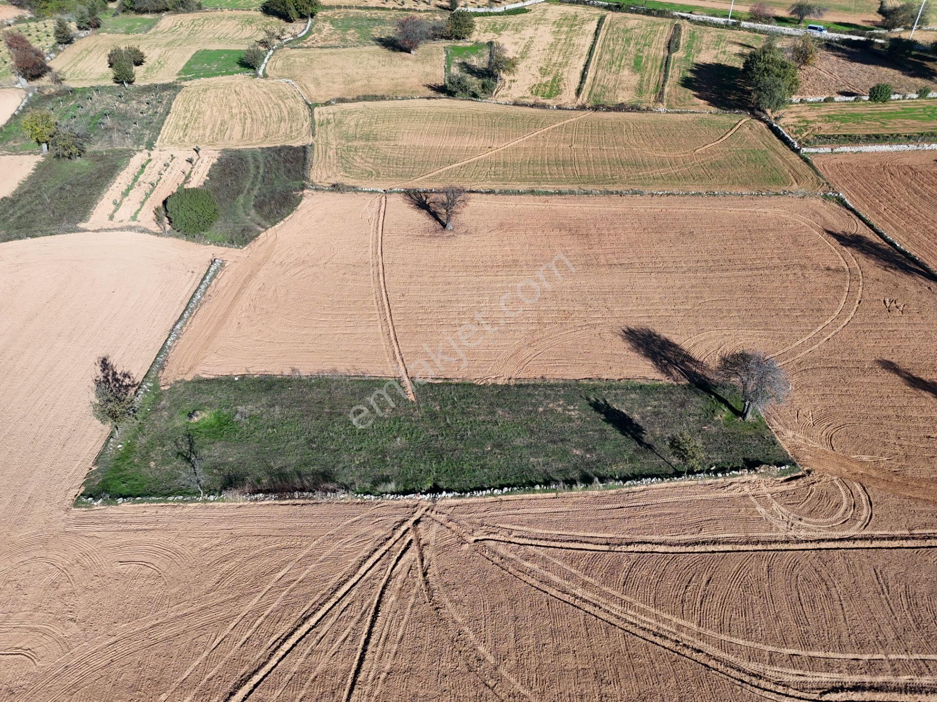 Yayla Mahallesi Fesleğen’de 902 M² Tarla – Gelişime Açık - Görsel 11