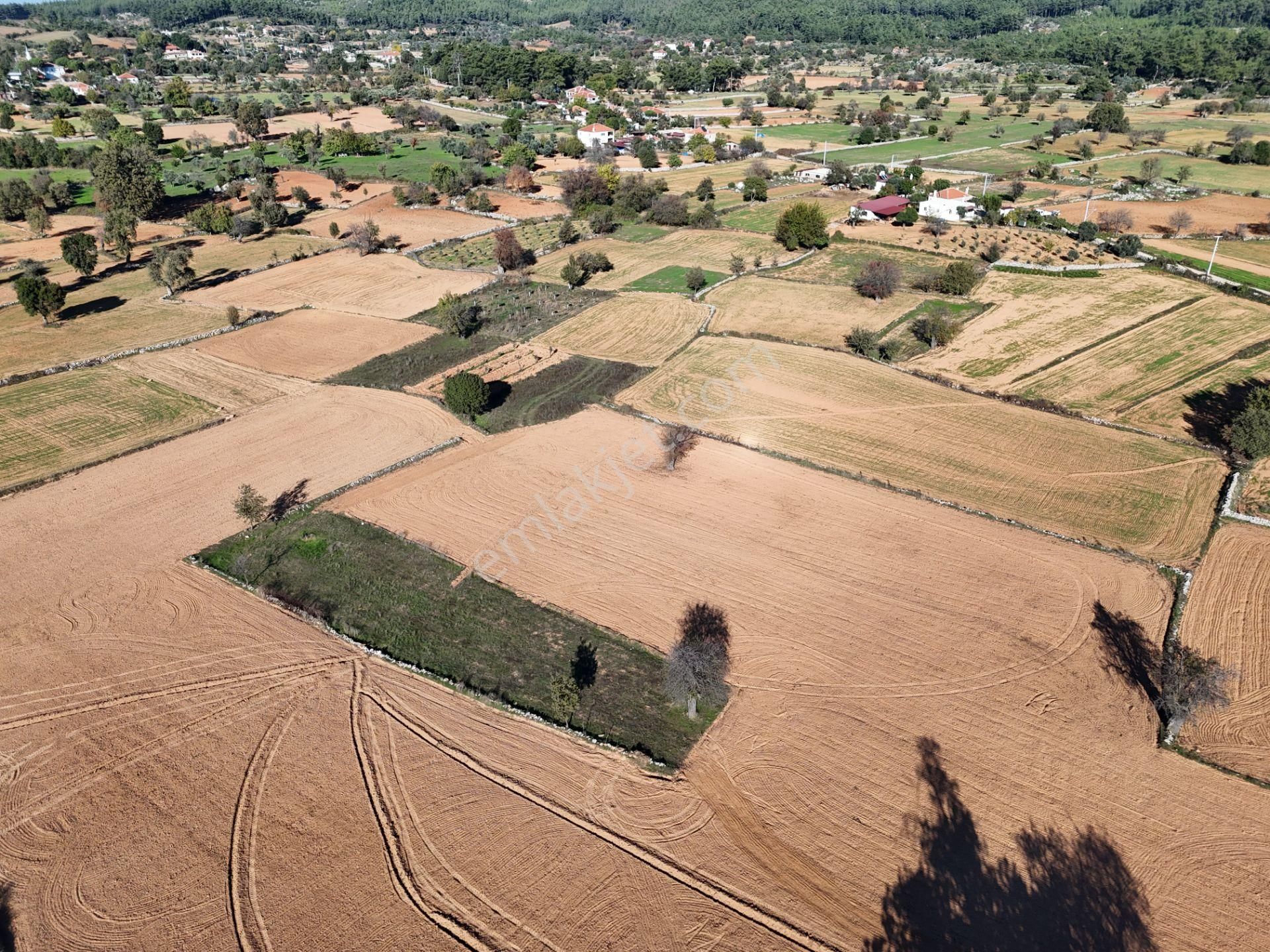 Yayla Mahallesi Fesleğen’de 902 M² Tarla – Gelişime Açık - Görsel 14