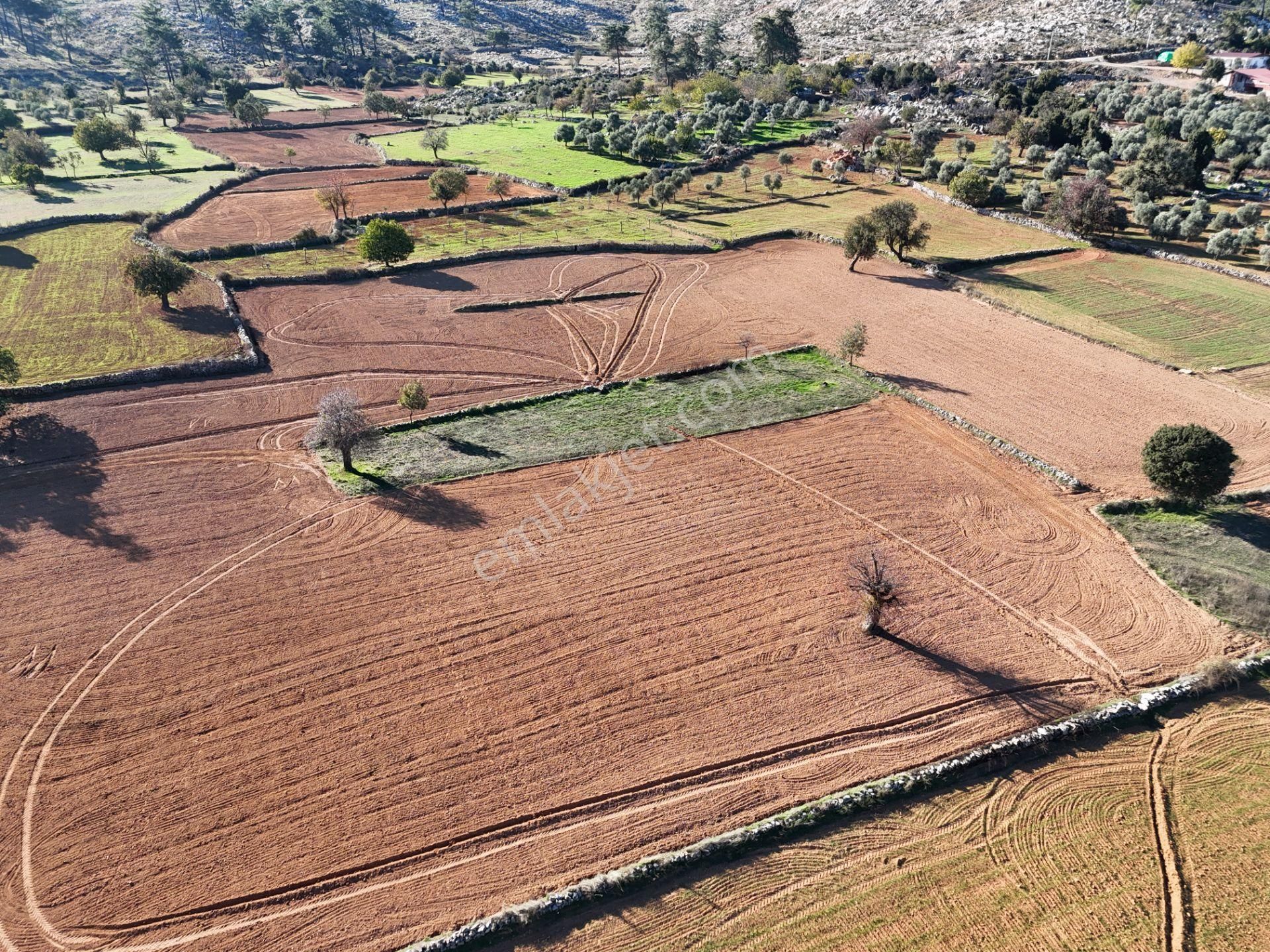 Yayla Mahallesi Fesleğen’de 902 M² Tarla – Gelişime Açık - Görsel 3
