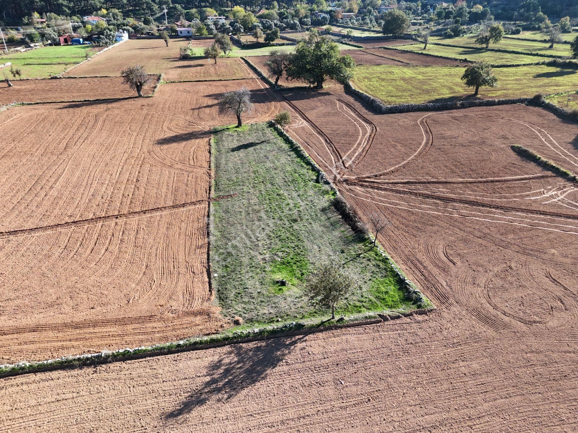 Yayla Mahallesi Fesleğen’de 902 M² Tarla – Gelişime Açık - Görsel 20