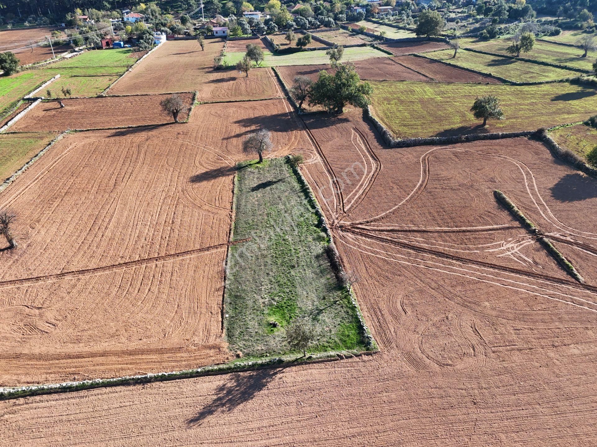 Yayla Mahallesi Fesleğen’de 902 M² Tarla – Gelişime Açık - Görsel 8