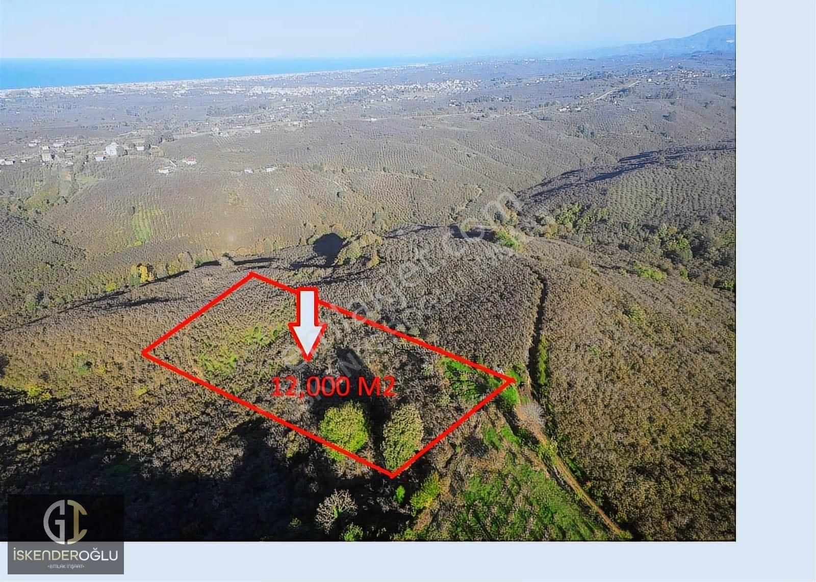 Deniz Manzaralı Fındıklık