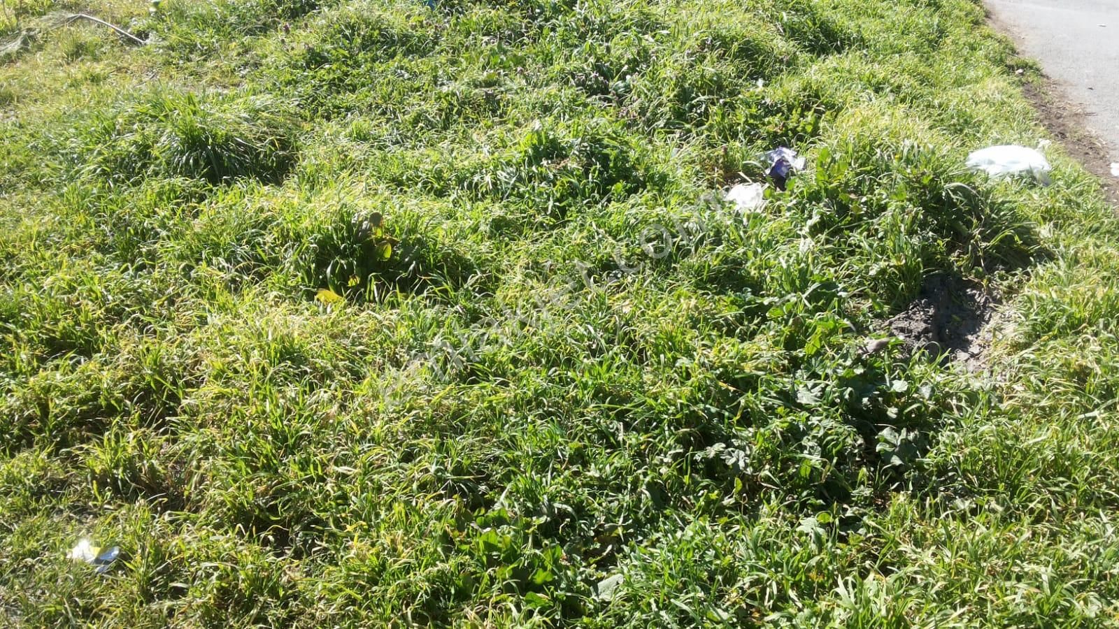 Çekmeköy Alemdağda % 45 Kat Karşılığı Düşeş Kazandıracak Arsa No:113