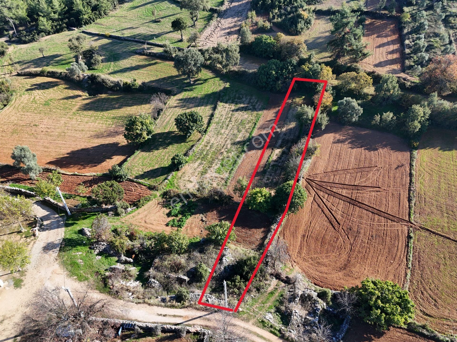 Milas Fesleğen’de 812 M² Hisseli Tarla – Köy İmarında, Düz Alan - Görsel 6
