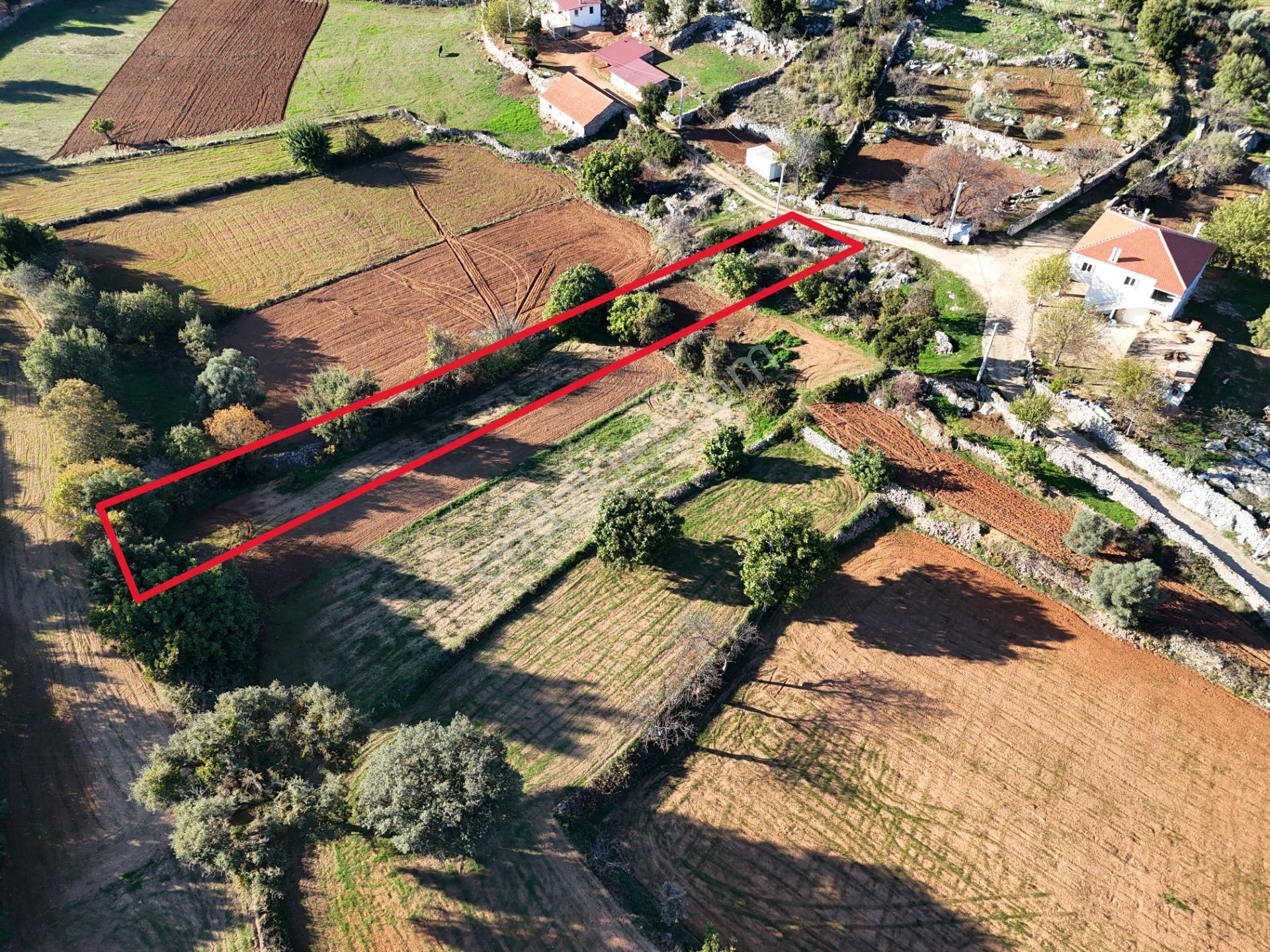 Milas Fesleğen’de 812 M² Hisseli Tarla – Köy İmarında, Düz Alan - Görsel 16