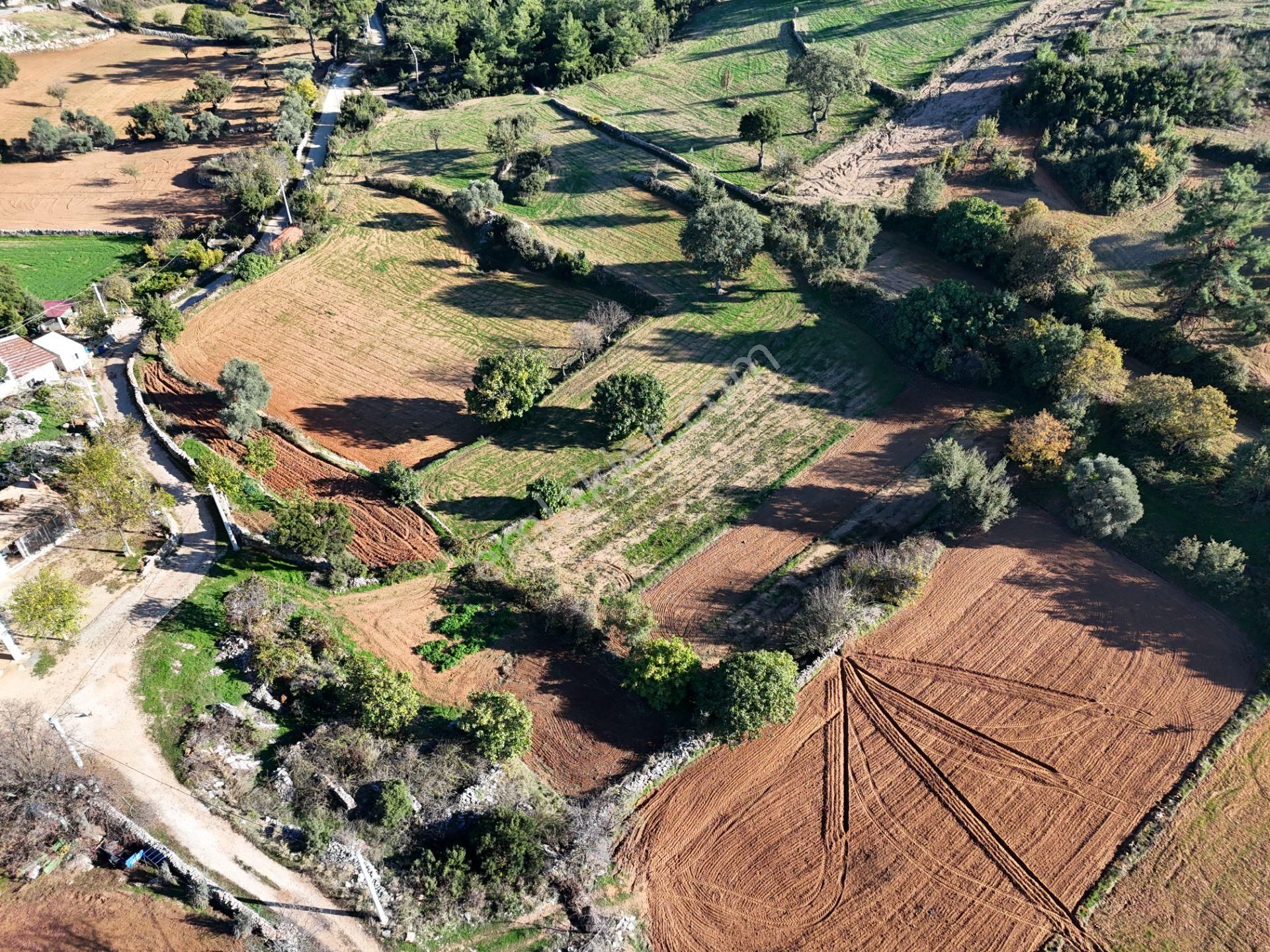 Milas Fesleğen’de 812 M² Hisseli Tarla – Köy İmarında, Düz Alan - Görsel 7
