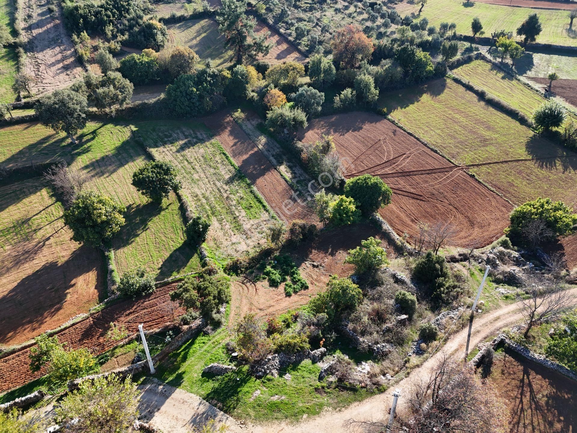 Milas Fesleğen’de 812 M² Hisseli Tarla – Köy İmarında, Düz Alan - Görsel 4