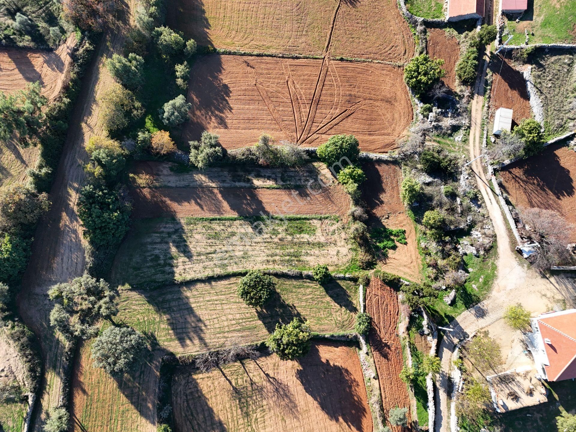 Milas Fesleğen’de 812 M² Hisseli Tarla – Köy İmarında, Düz Alan - Görsel 20