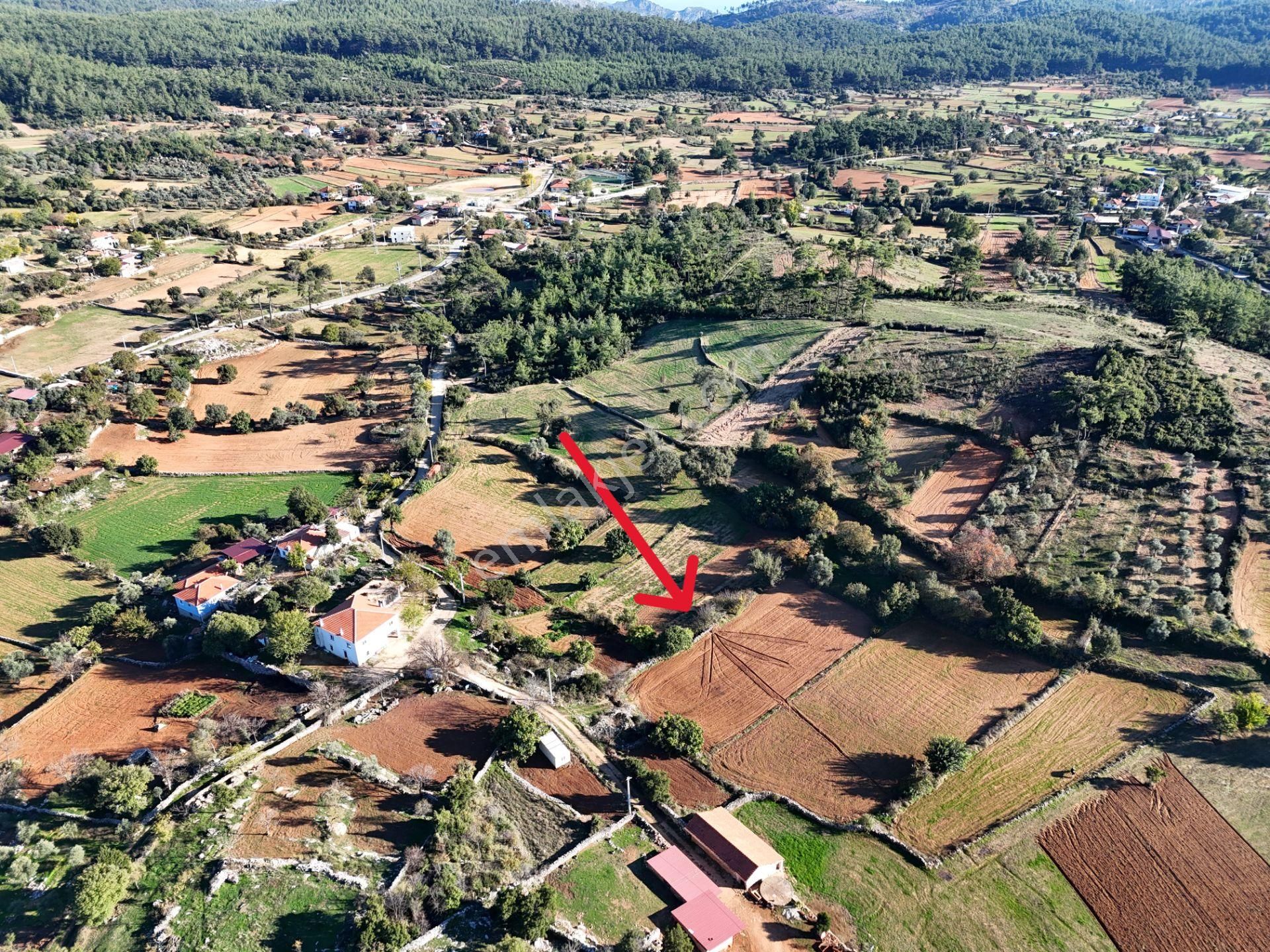 Milas Fesleğen’de 812 M² Hisseli Tarla – Köy İmarında, Düz Alan - Görsel 24