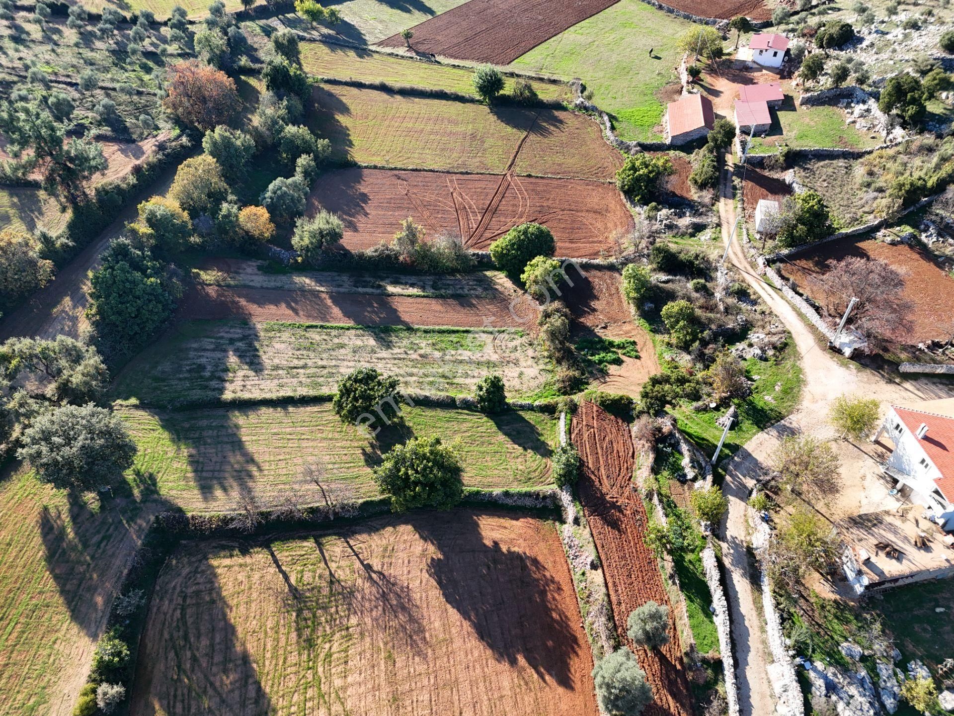 Milas Fesleğen’de 812 M² Hisseli Tarla – Köy İmarında, Düz Alan - Görsel 18