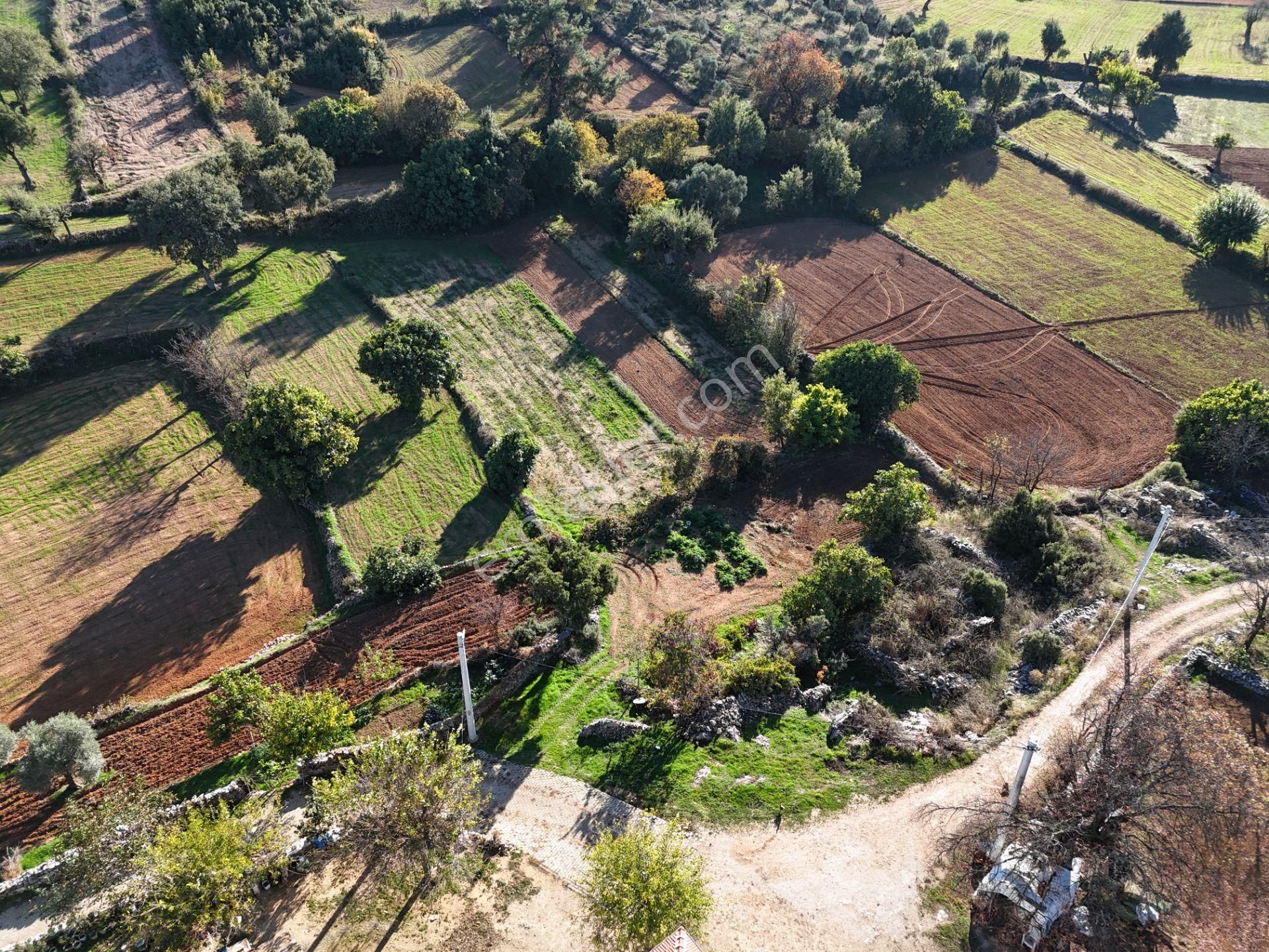 Milas Fesleğen’de 812 M² Hisseli Tarla – Köy İmarında, Düz Alan - Görsel 2