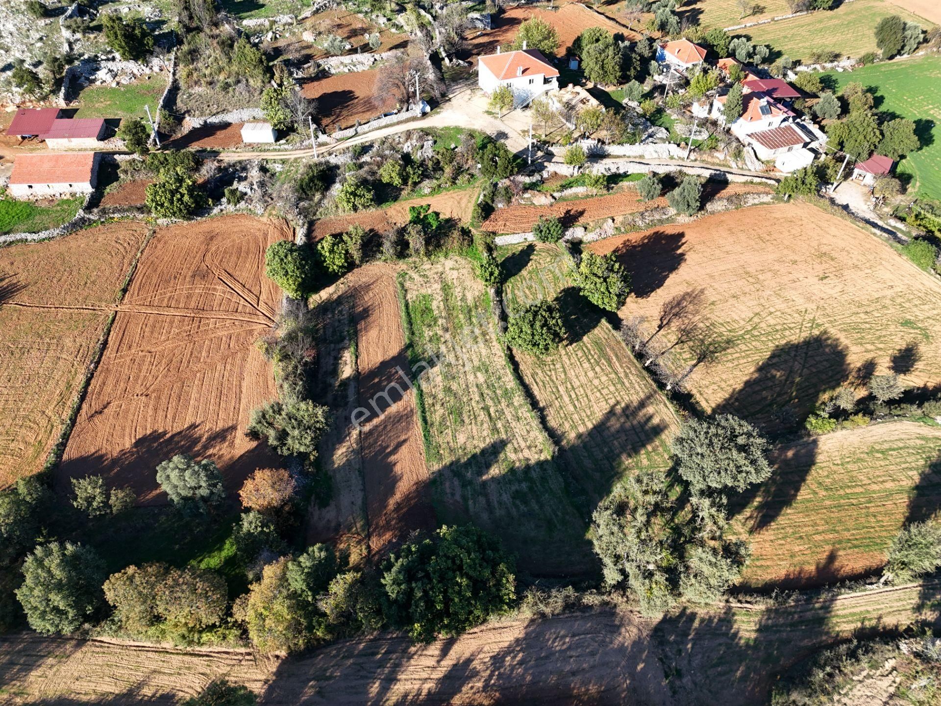 Milas Fesleğen’de 812 M² Hisseli Tarla – Köy İmarında, Düz Alan - Görsel 13