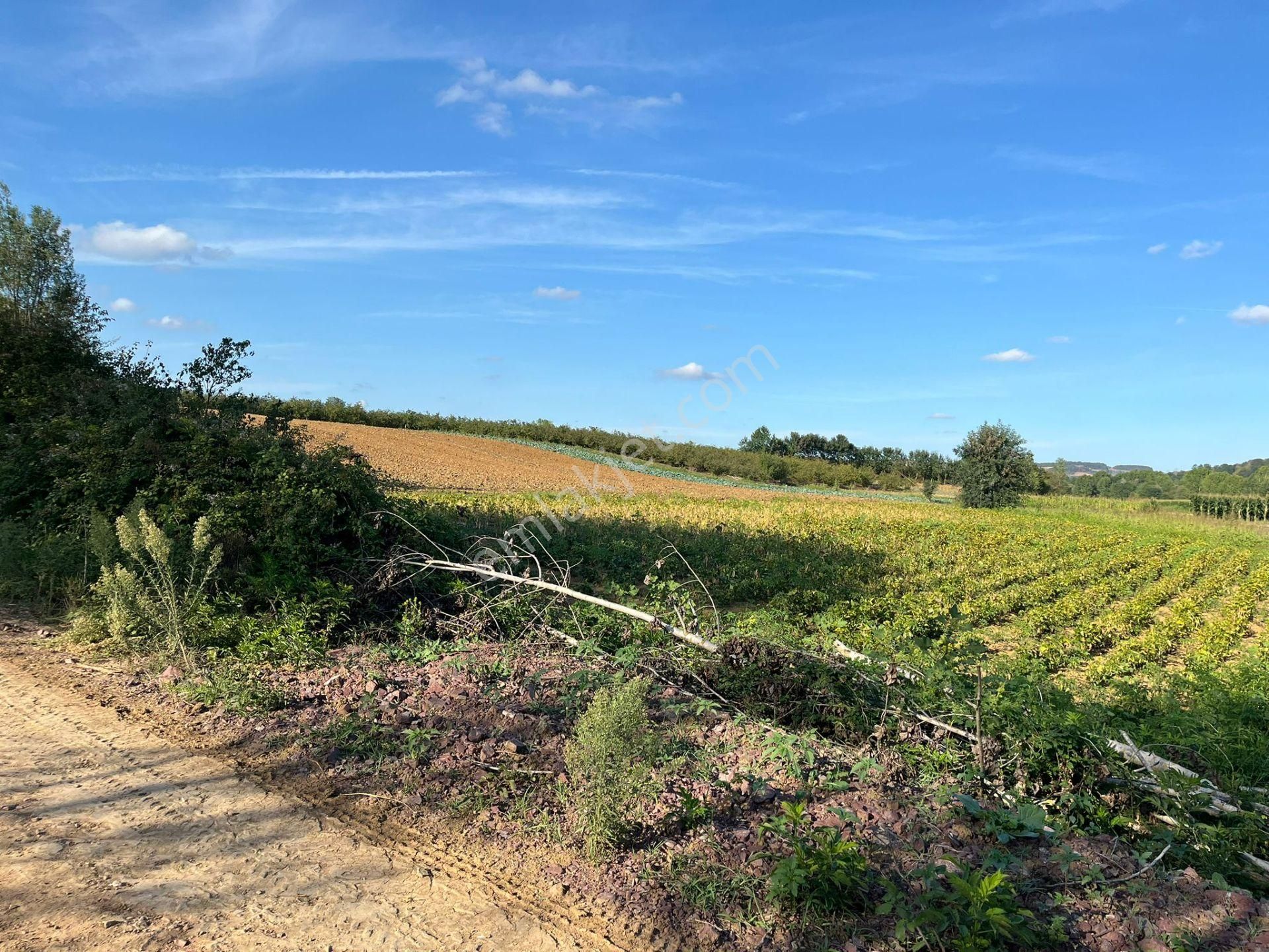 Yılmaz Emlaktan Mükemmel Yatırımlık Tarla - Görsel 21