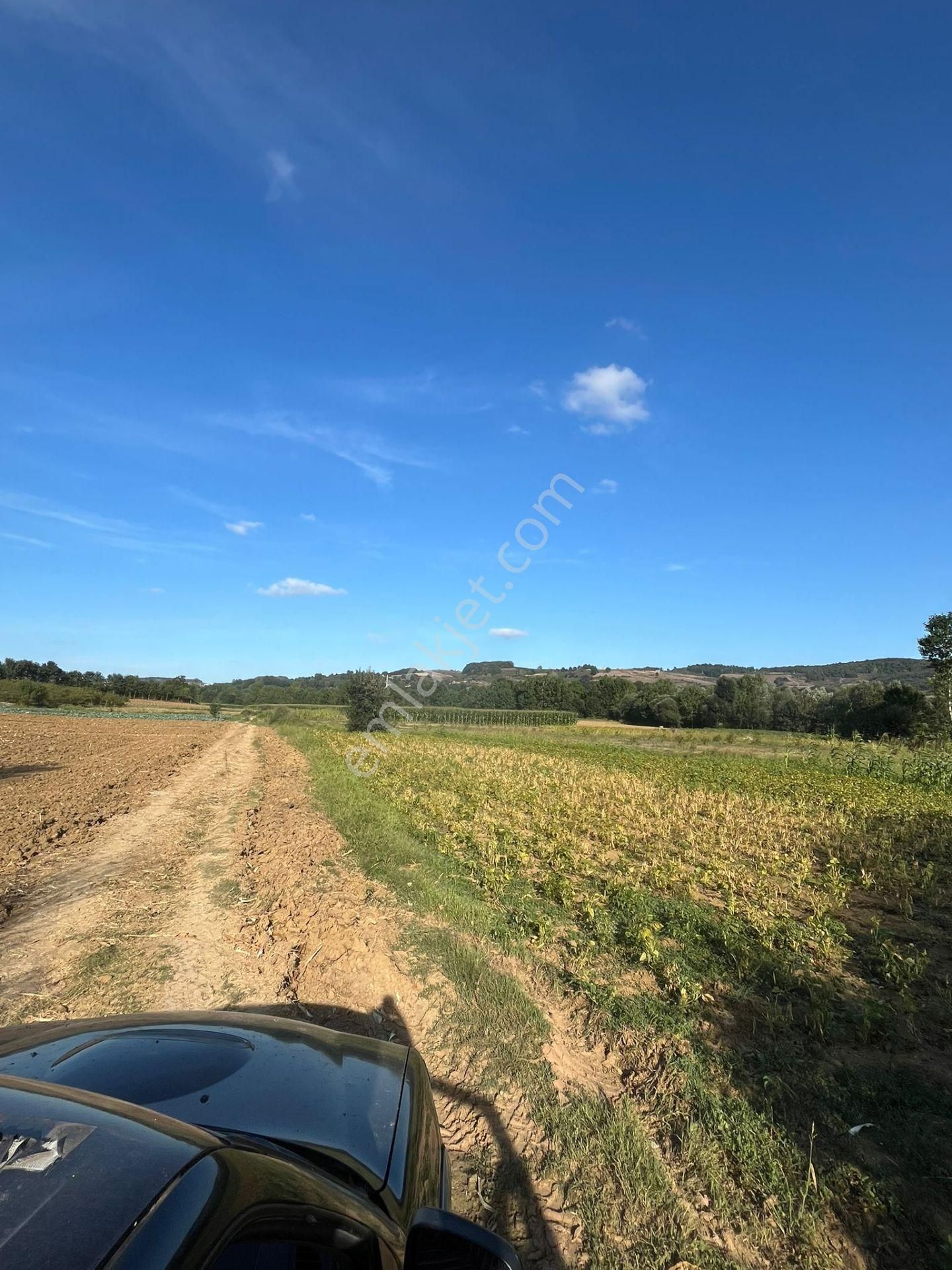 Yılmaz Emlaktan Mükemmel Yatırımlık Tarla - Görsel 15