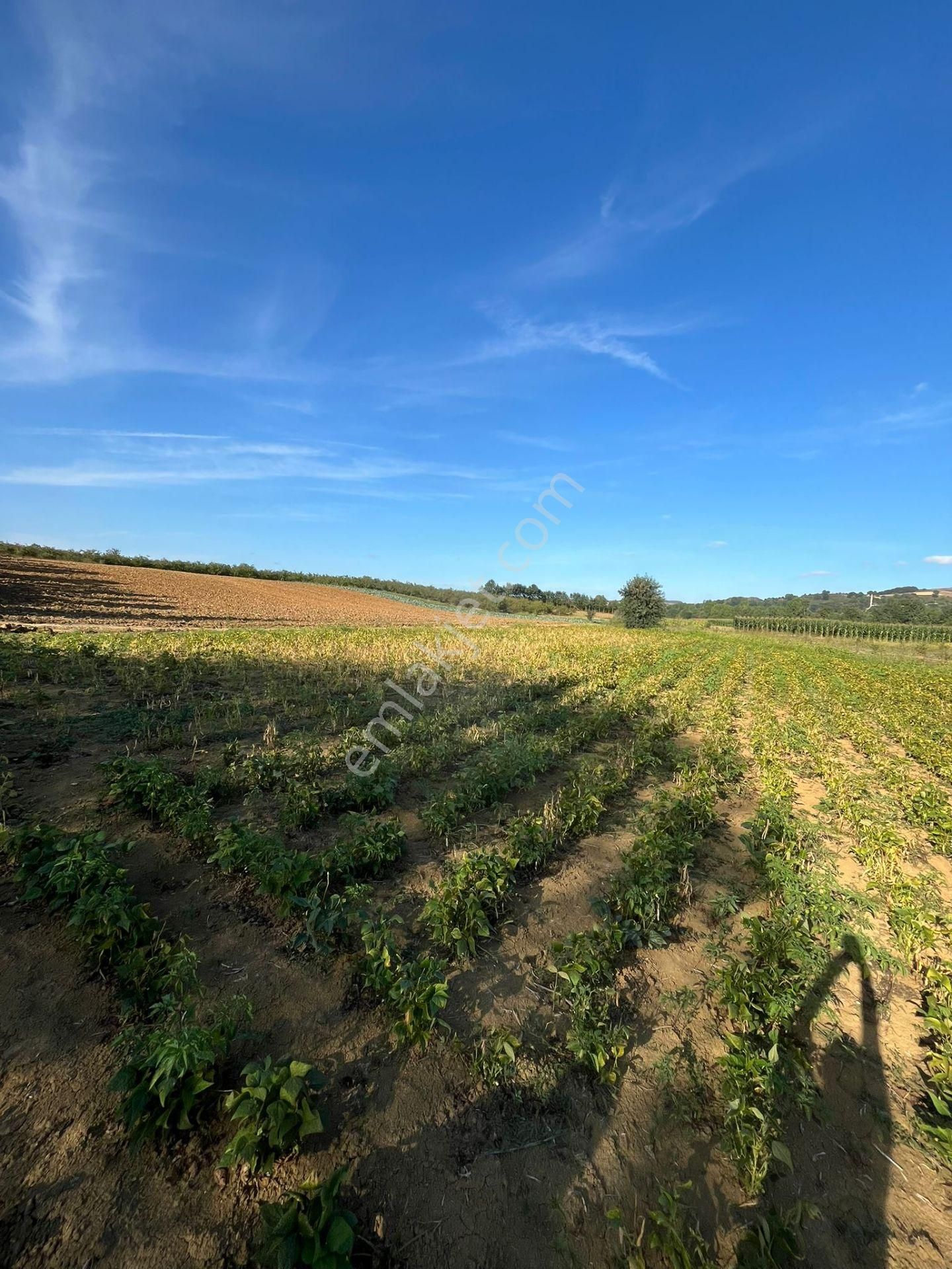 Yılmaz Emlaktan Mükemmel Yatırımlık Tarla - Görsel 13
