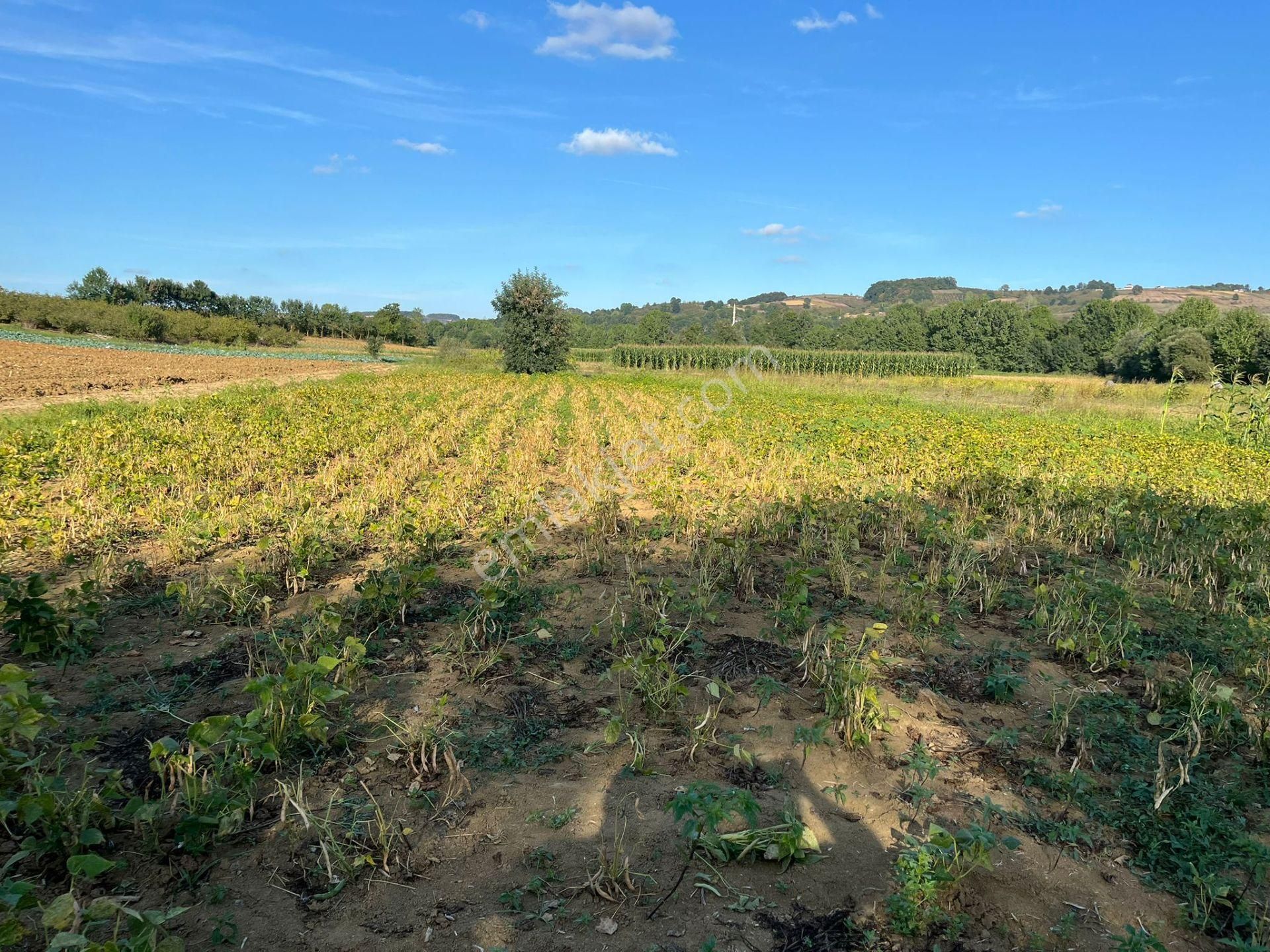 Yılmaz Emlaktan Mükemmel Yatırımlık Tarla - Görsel 20