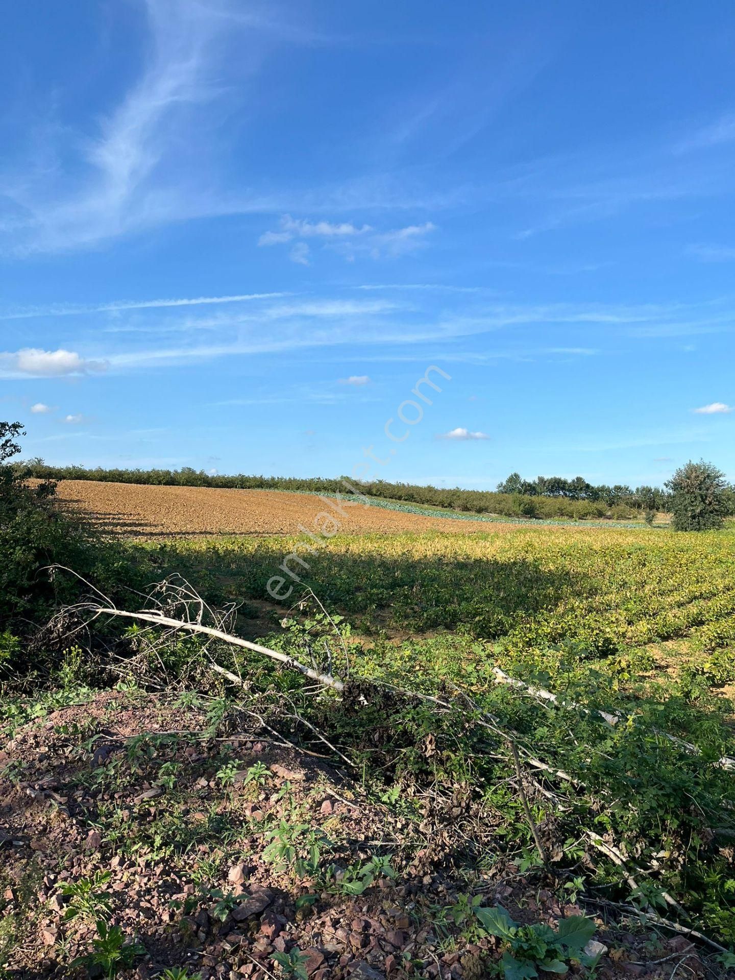 Yılmaz Emlaktan Mükemmel Yatırımlık Tarla - Görsel 16