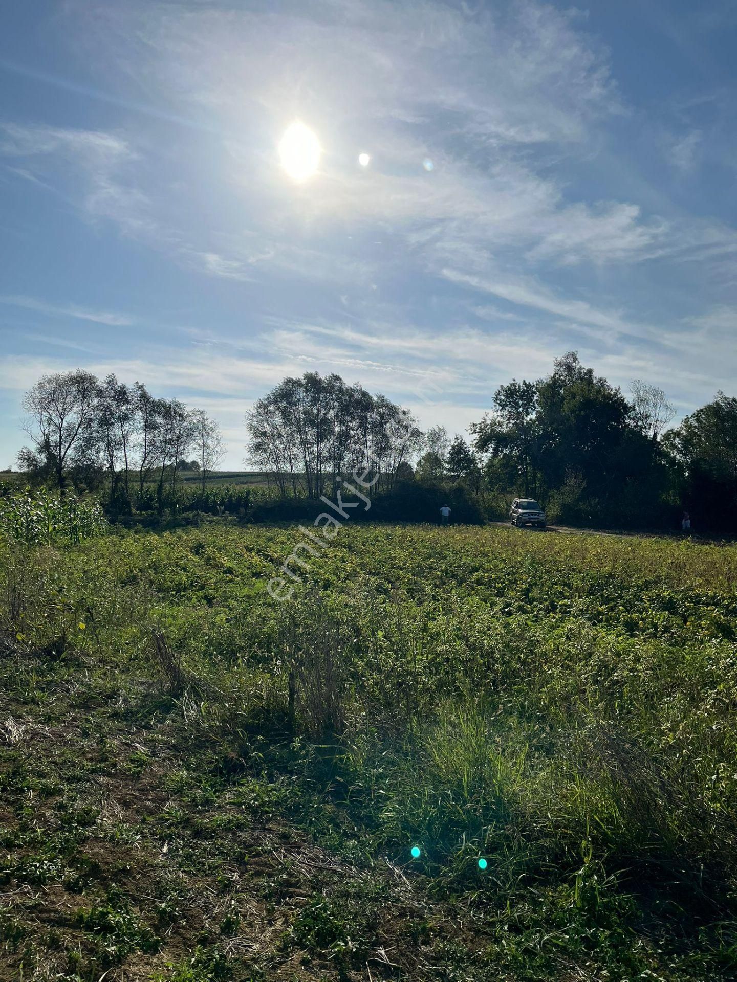 Yılmaz Emlaktan Mükemmel Yatırımlık Tarla - Görsel 14
