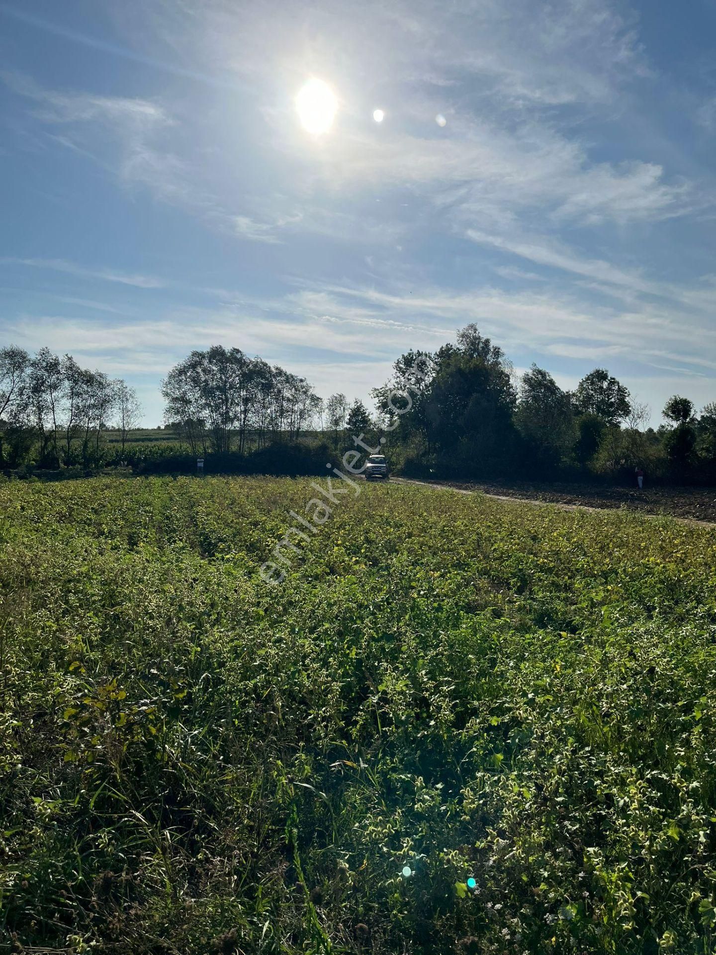 Yılmaz Emlaktan Mükemmel Yatırımlık Tarla - Görsel 32