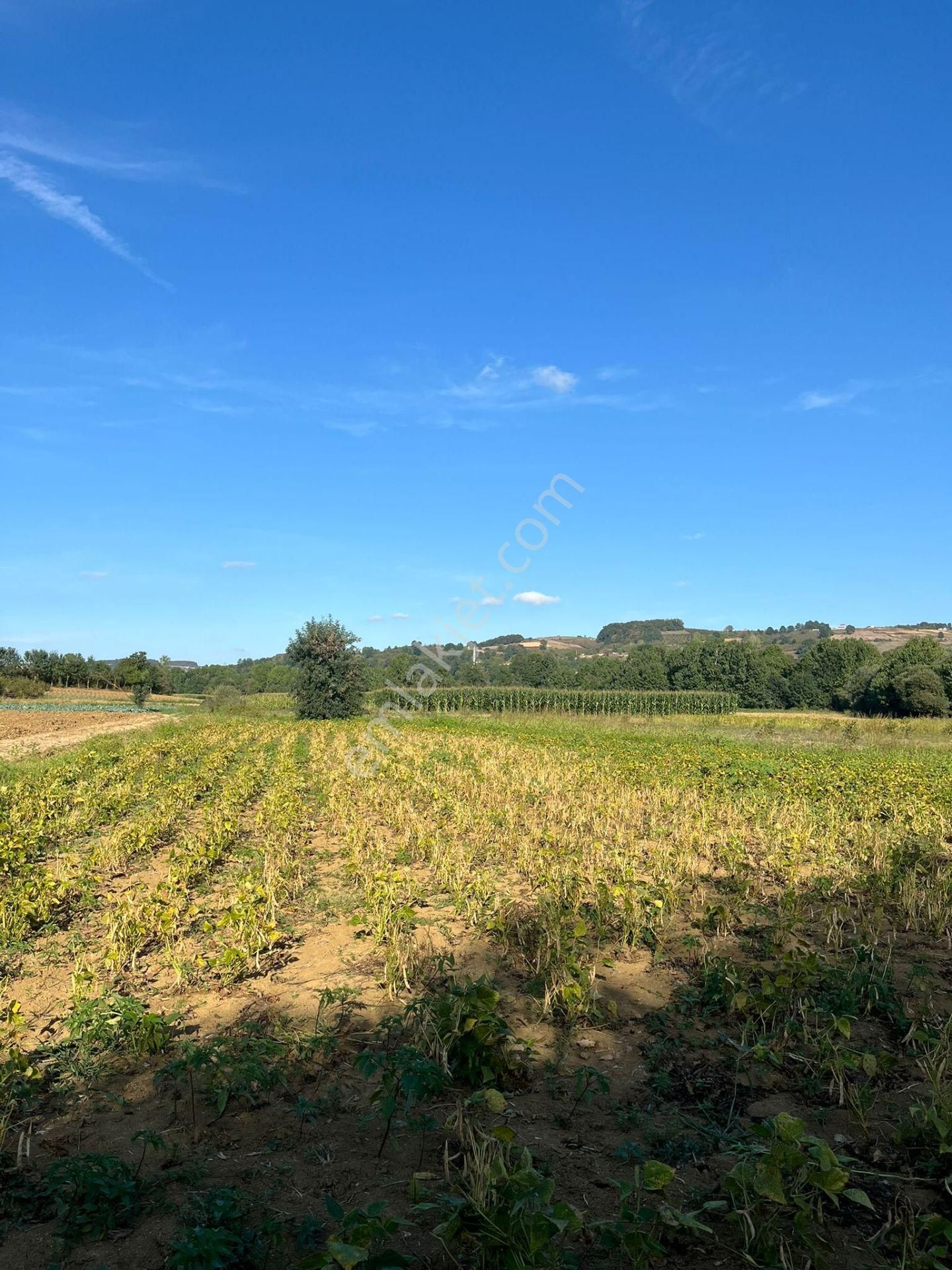 Yılmaz Emlaktan Mükemmel Yatırımlık Tarla - Görsel 12