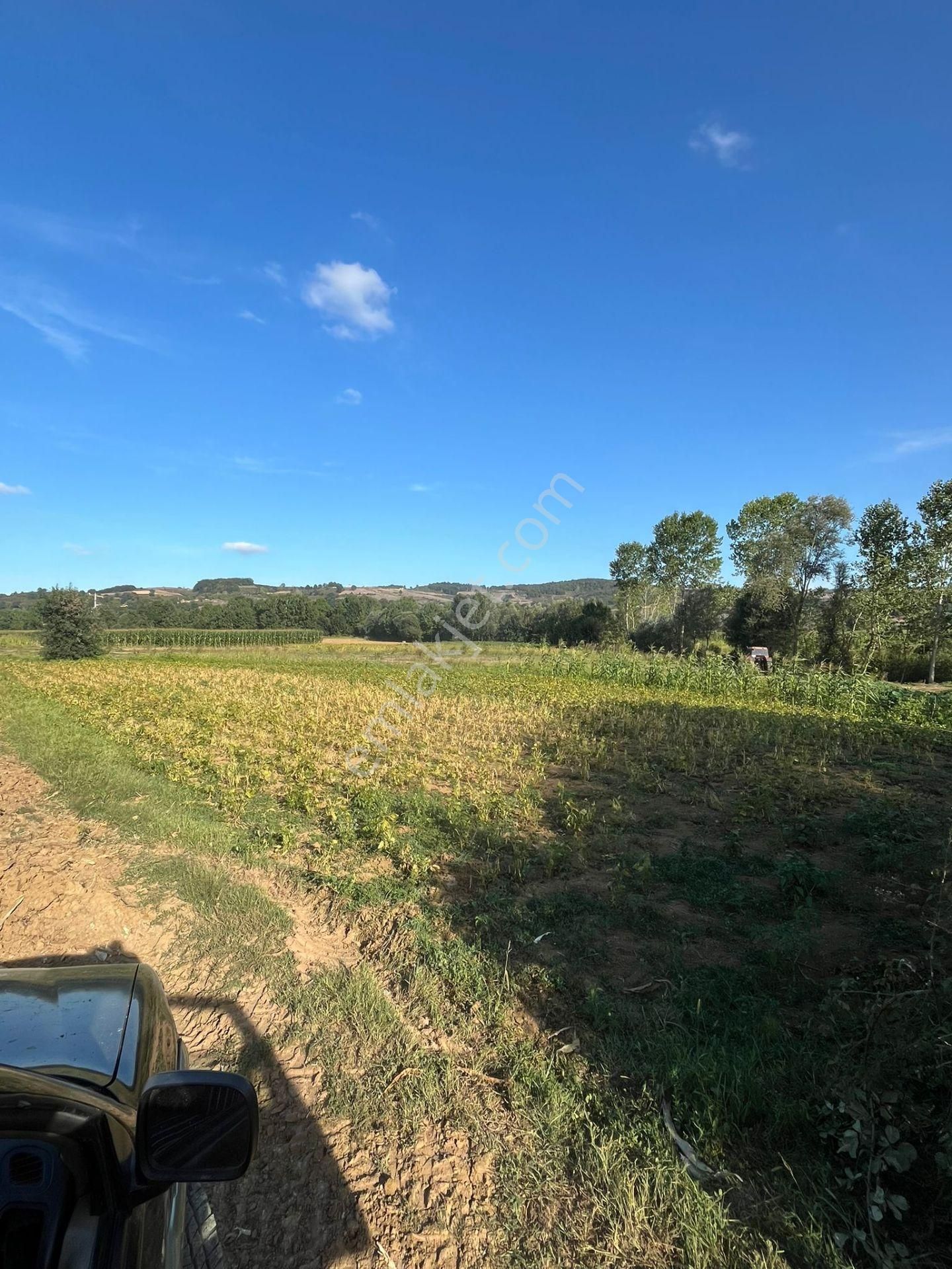 Yılmaz Emlaktan Mükemmel Yatırımlık Tarla - Görsel 8