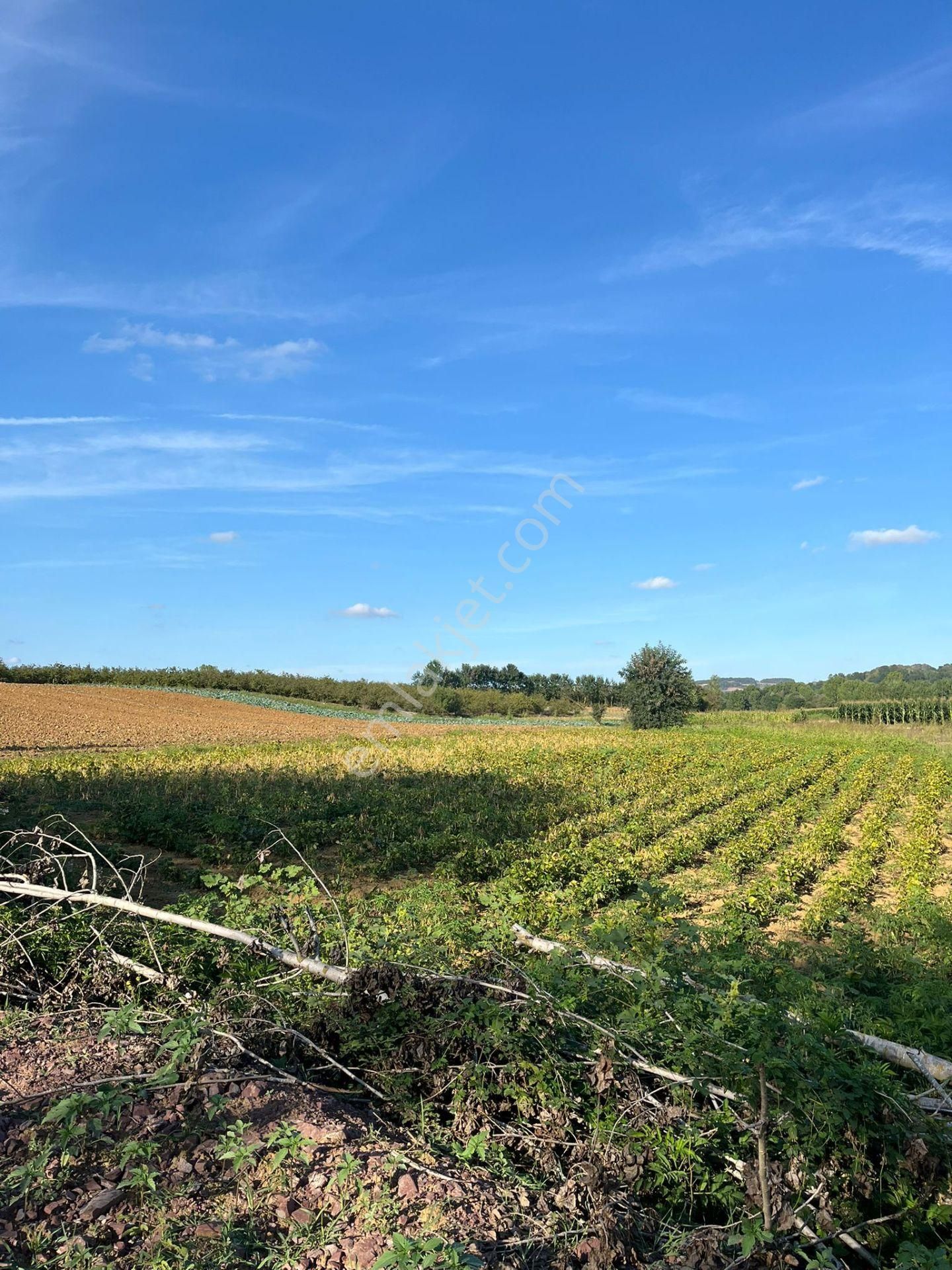 Yılmaz Emlaktan Mükemmel Yatırımlık Tarla - Görsel 22
