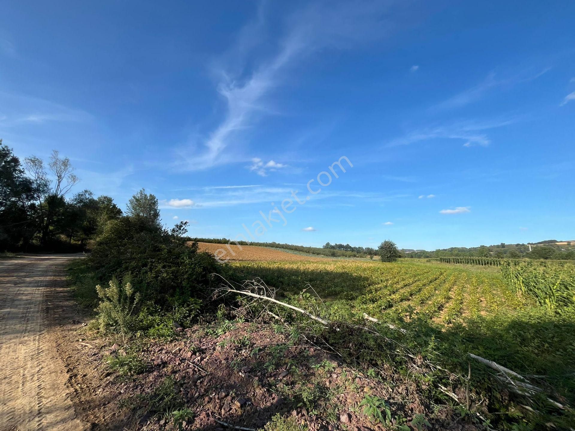 Yılmaz Emlaktan Mükemmel Yatırımlık Tarla - Görsel 2