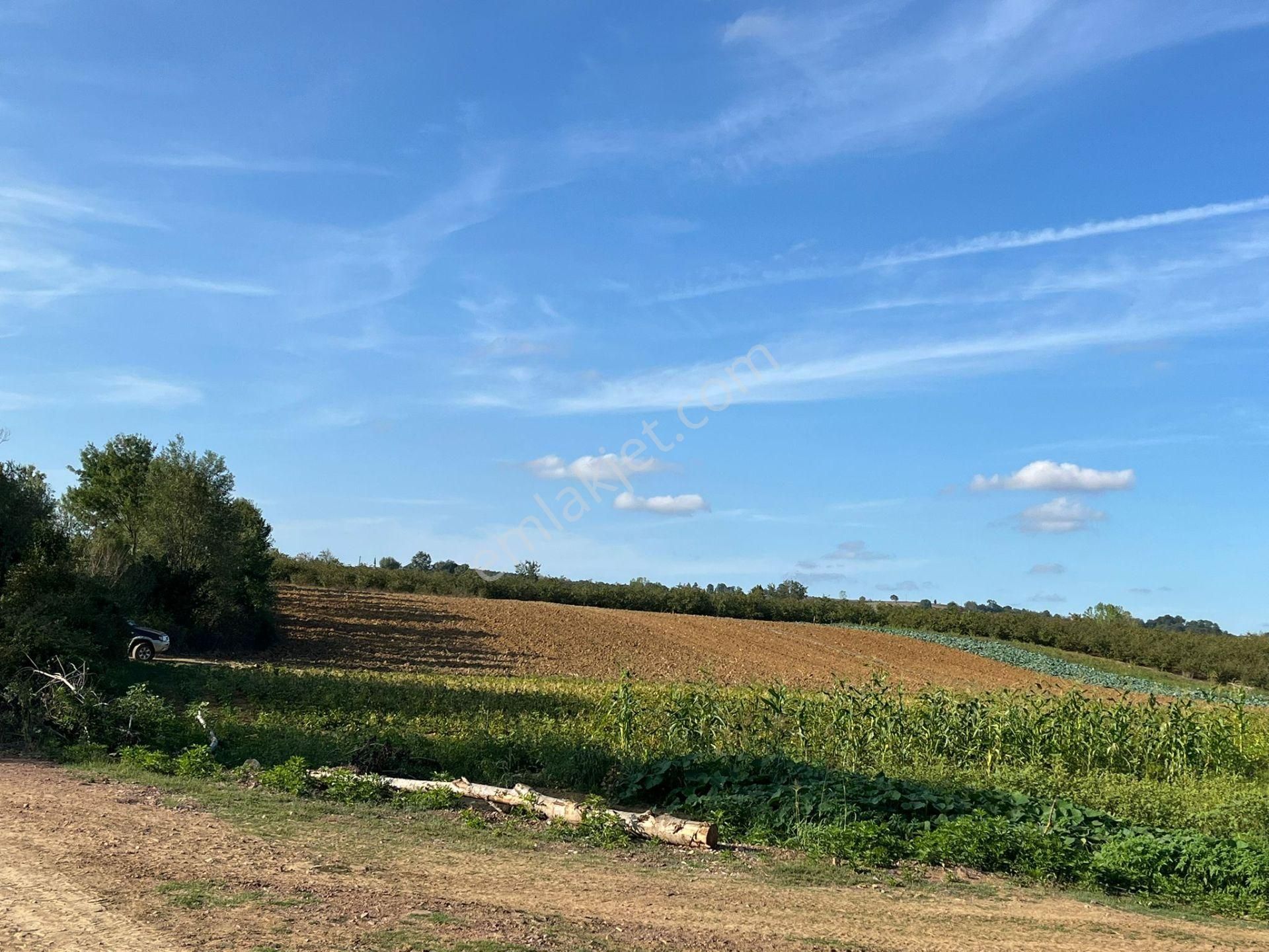 Yılmaz Emlaktan Mükemmel Yatırımlık Tarla