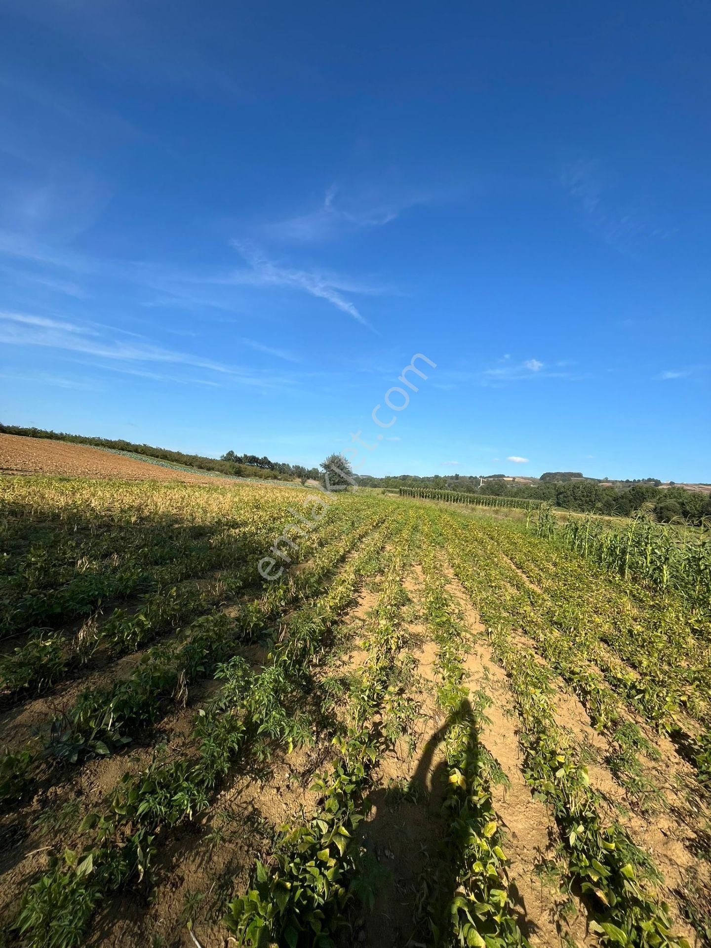 Yılmaz Emlaktan Mükemmel Yatırımlık Tarla - Görsel 23