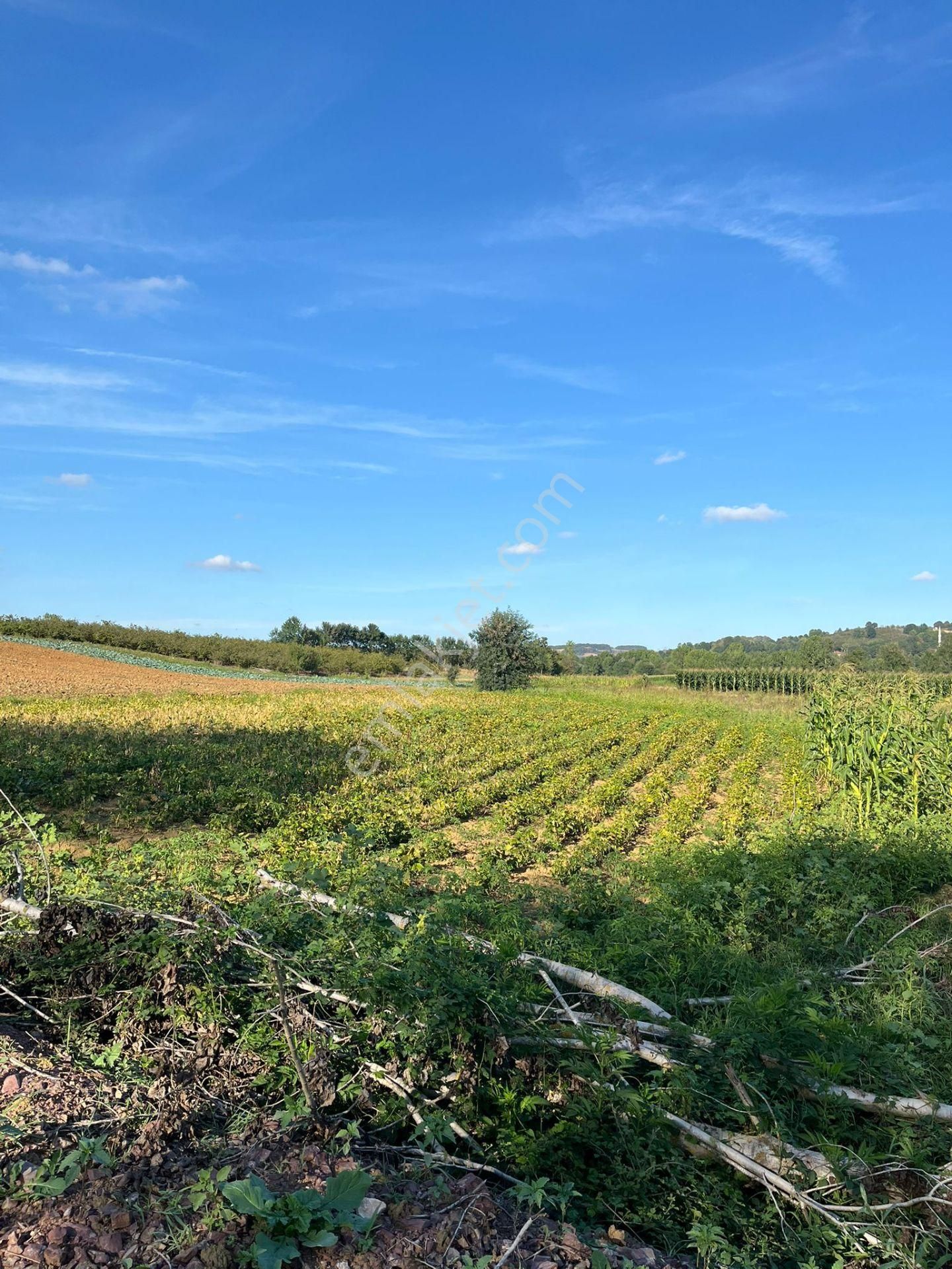 Yılmaz Emlaktan Mükemmel Yatırımlık Tarla - Görsel 25