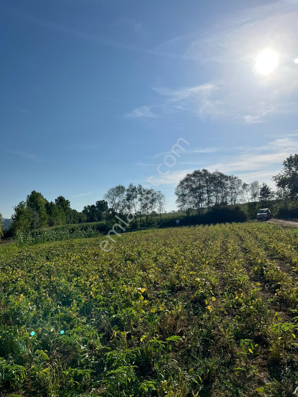 Yılmaz Emlaktan Mükemmel Yatırımlık Tarla - Görsel 24