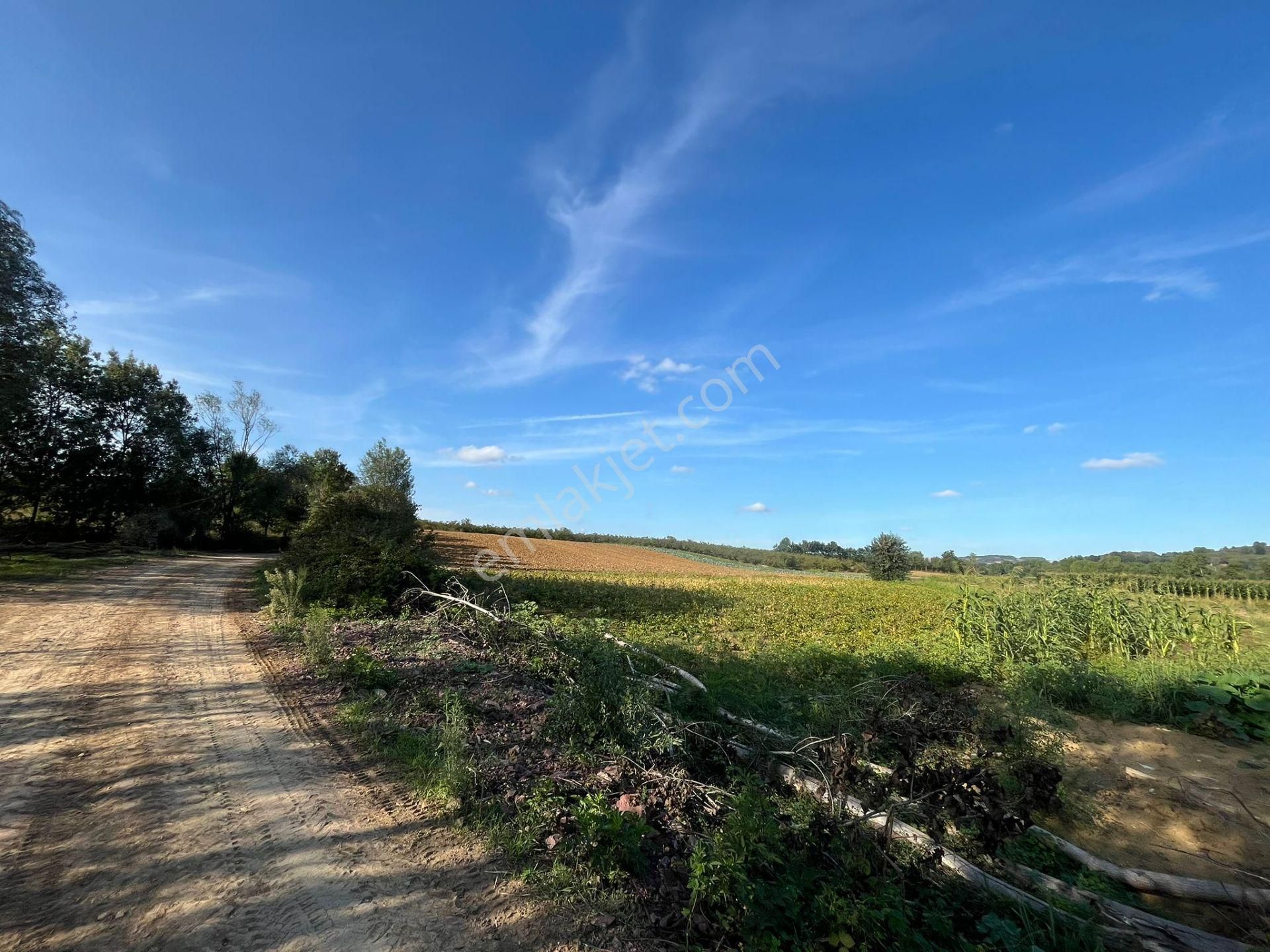 Yılmaz Emlaktan Mükemmel Yatırımlık Tarla - Görsel 4