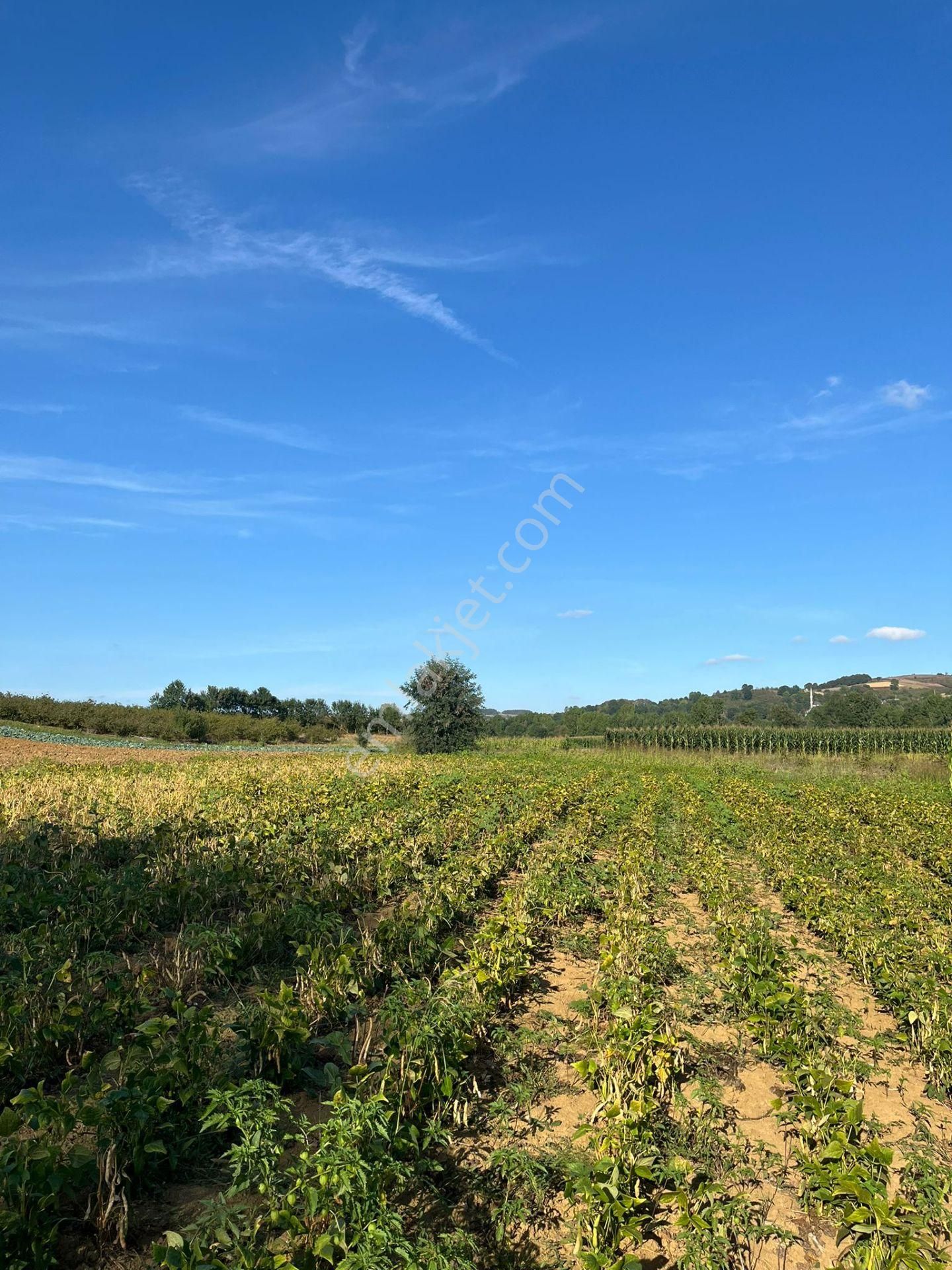 Yılmaz Emlaktan Mükemmel Yatırımlık Tarla - Görsel 30