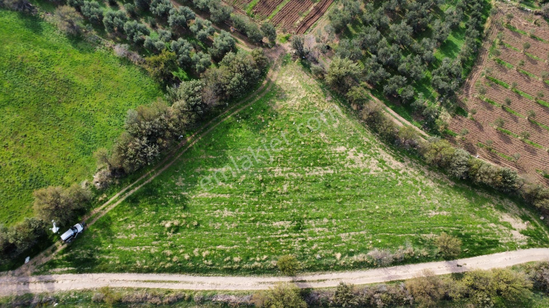 Han Emlak Otomotiv'den Kösedere Köyünde 2908 M2 Satılık Tarla - Görsel 4