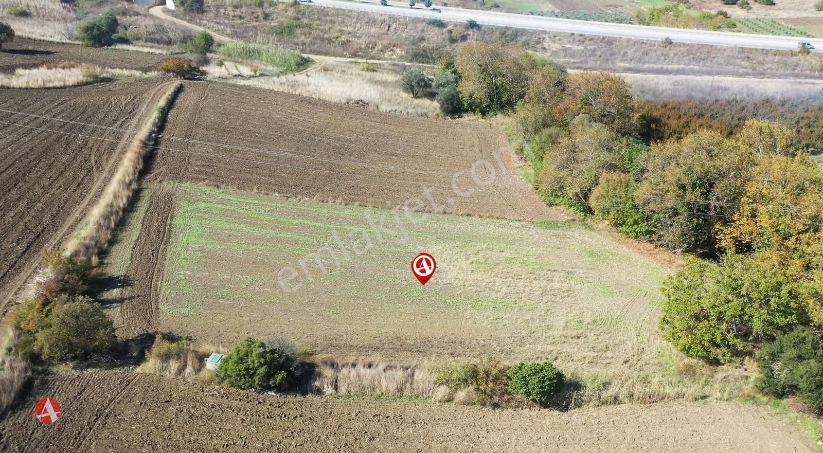 Çanakkale, Lapseki, Suluca, Yola Yakın,2.800 M2 Yatırımlık Arazi - Görsel 4