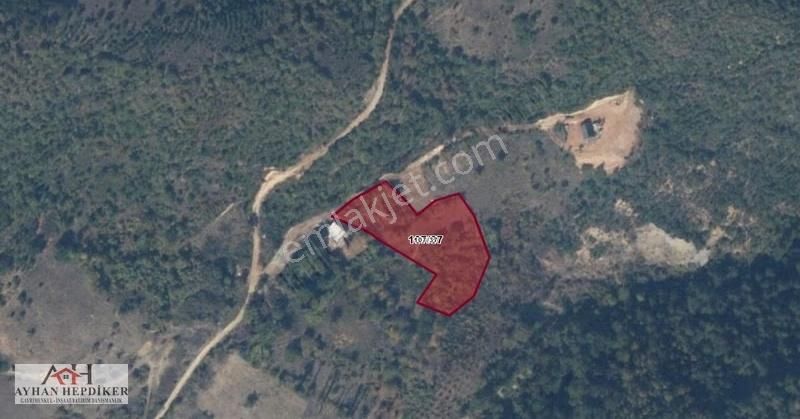 Sakarya Geyve Ilıca'da 3863 M2 Resmi Yolu Olan Orman Manzaralı - Görsel 2