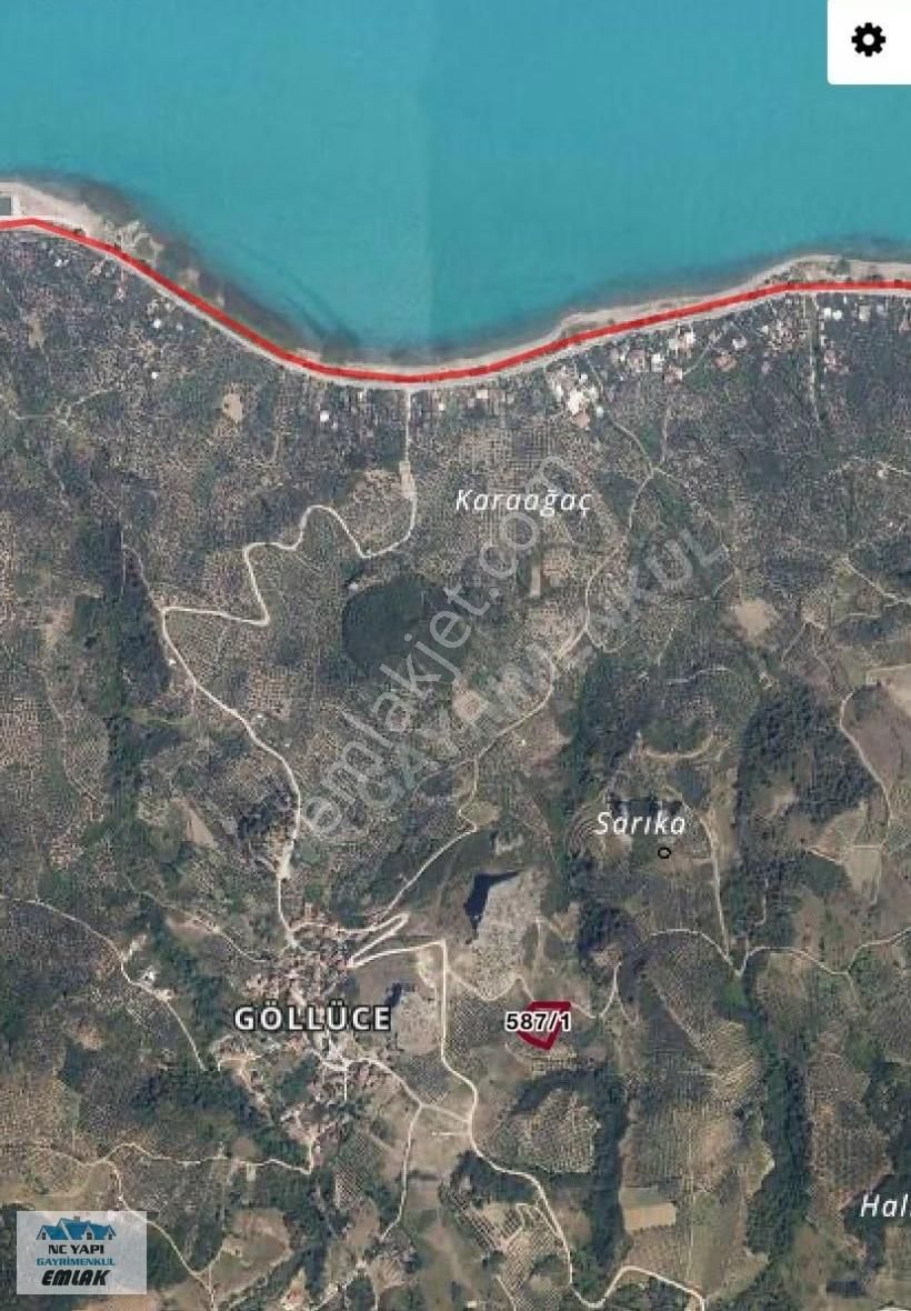İznik Göllücede Yollu Tarla,zeytinlik - Görsel 2