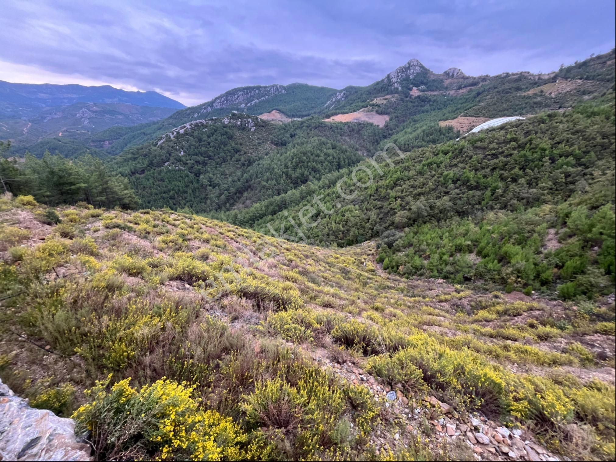 Fakırcalı Mah. 8322m2 Satılık Arsa - Görsel 32