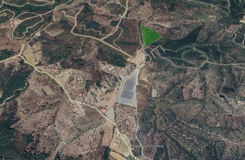 Seferihisar Beyler Köyünde Ormana Komşu Verimli Zeytinlik - Görsel 8