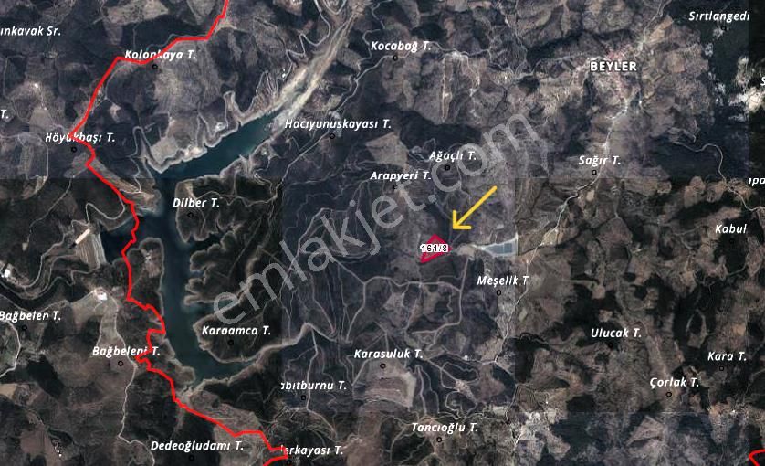 Seferihisar Beyler Köyünde Ormana Komşu Verimli Zeytinlik - Görsel 6